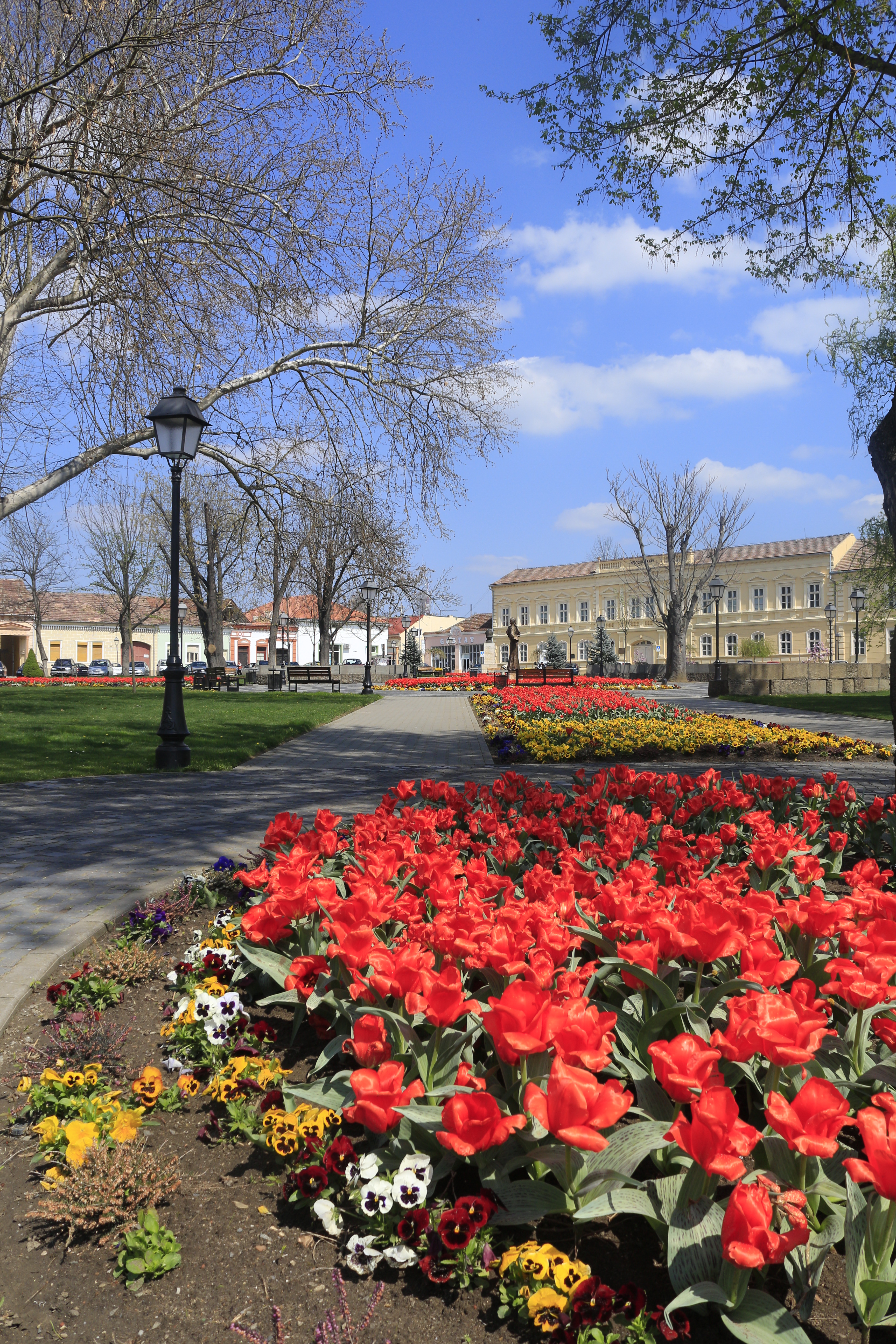 REPORTAJ | Blajul „înghite” 1,5 milioane de euro pentru vizita Papei. Mica Romă freamătă în așteptarea momentului istoric al sosirii Suveranului Pontif
