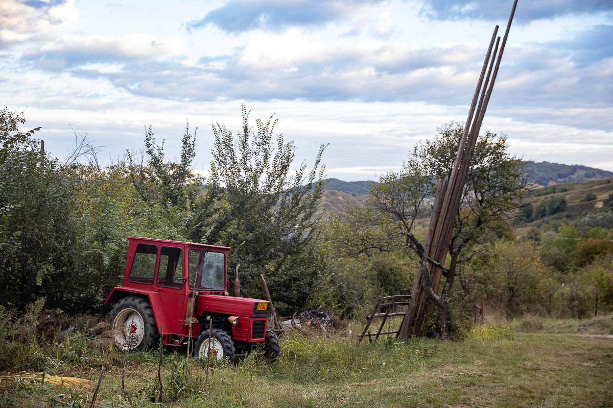 Unde se duc prunele din Coca-Antimirești, Buzău, când se coc: „La porci. Cerbii mănâncă de trosnesc. Vin urșii, mistreții. N-avem unde vinde”
