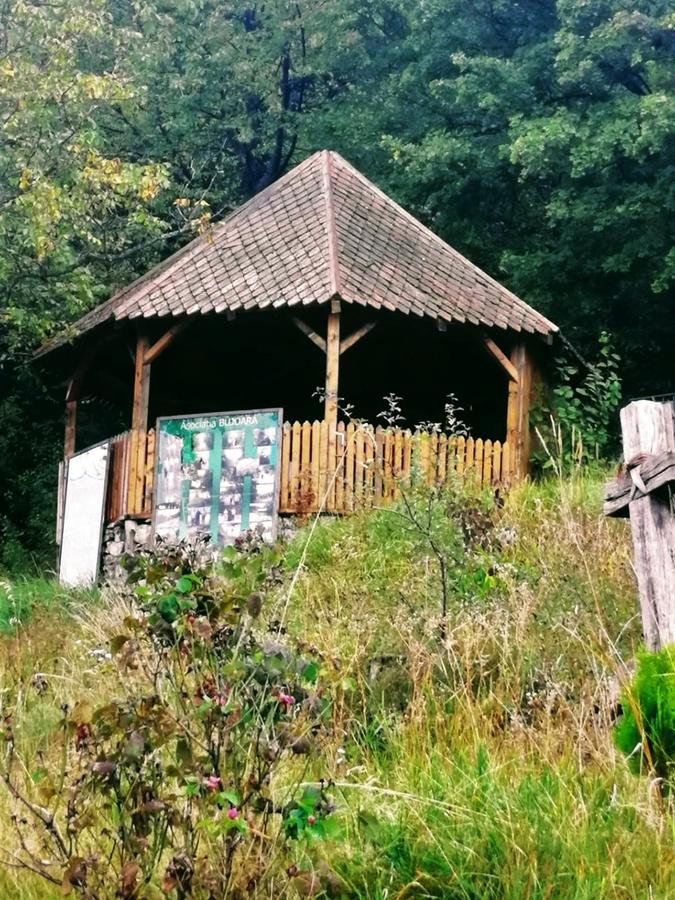 Casa părintească a Părintelui Arsenie Boca, de vânzare. Costă 3 milioane de euro și se vinde alături de 8 hectare de teren | FOTO