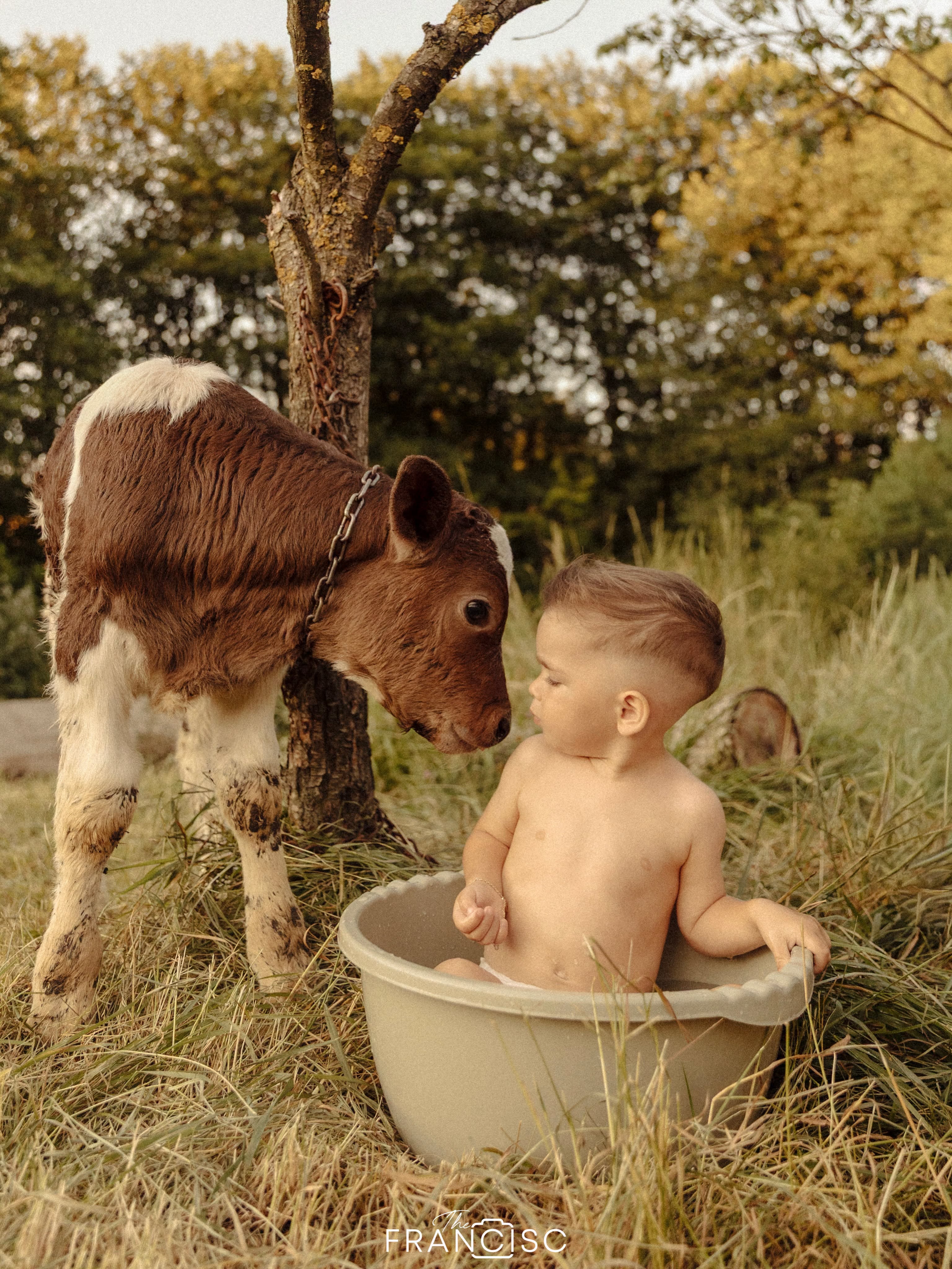 Imagini adorabile de la petrecerea fiului Vlăduței Lupău. Isaia a împlinit 2 ani, iar decorul a atras toate privirile
