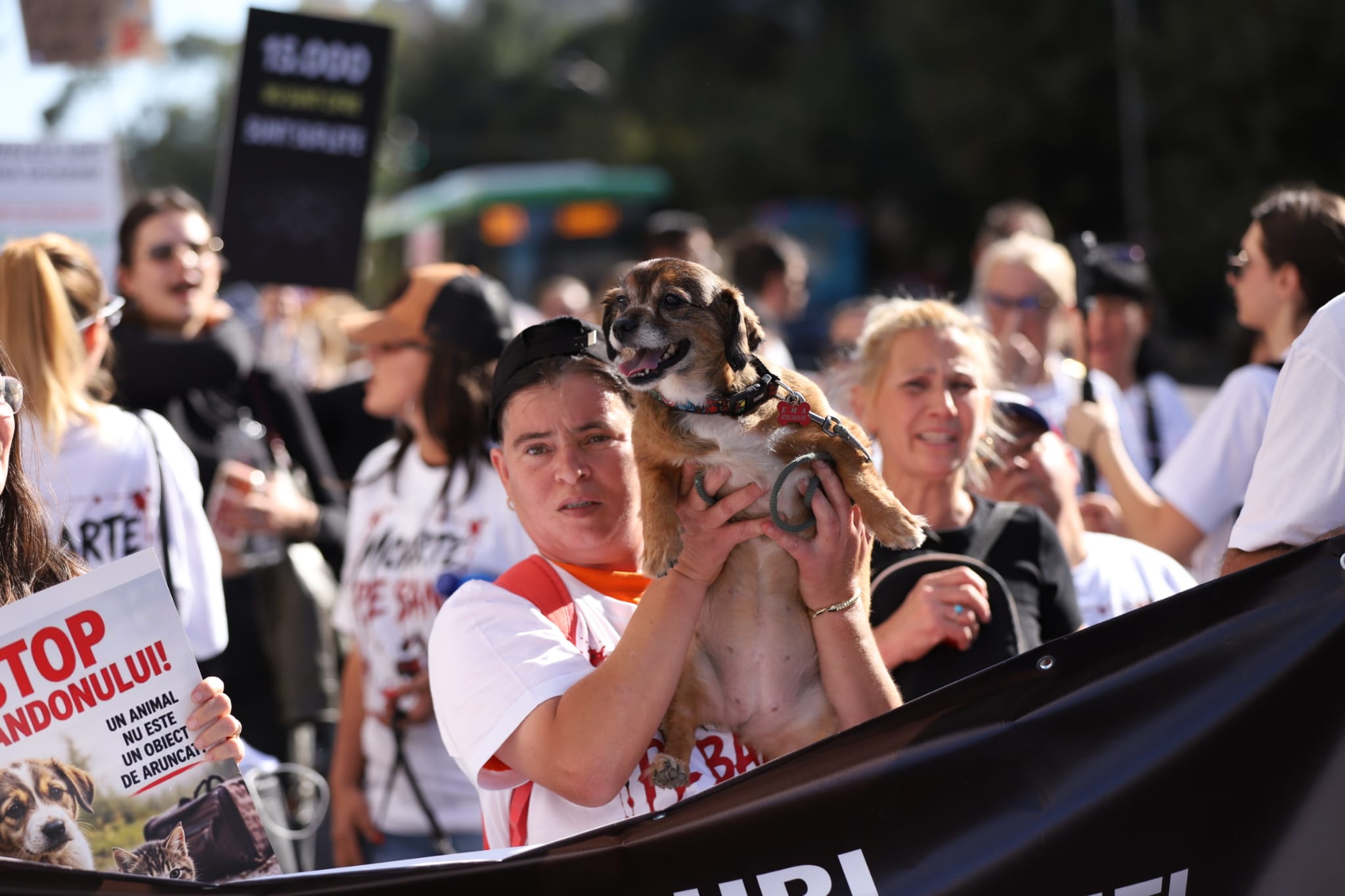 Raluca Bădulescu, prezentă la protestul pentru drepturile animalelor