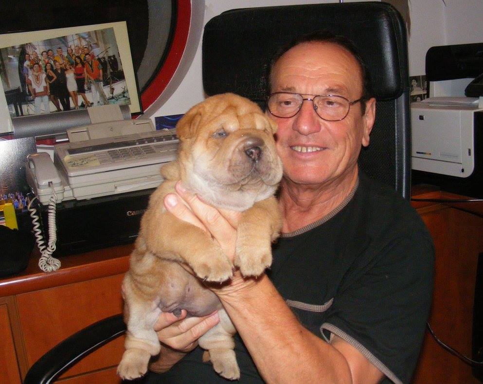 În lipsa nepotului, Petre Geambașu crește câini din rasa Shar Pei. “Sunt printre cele mai dragi ființe din viața mea”