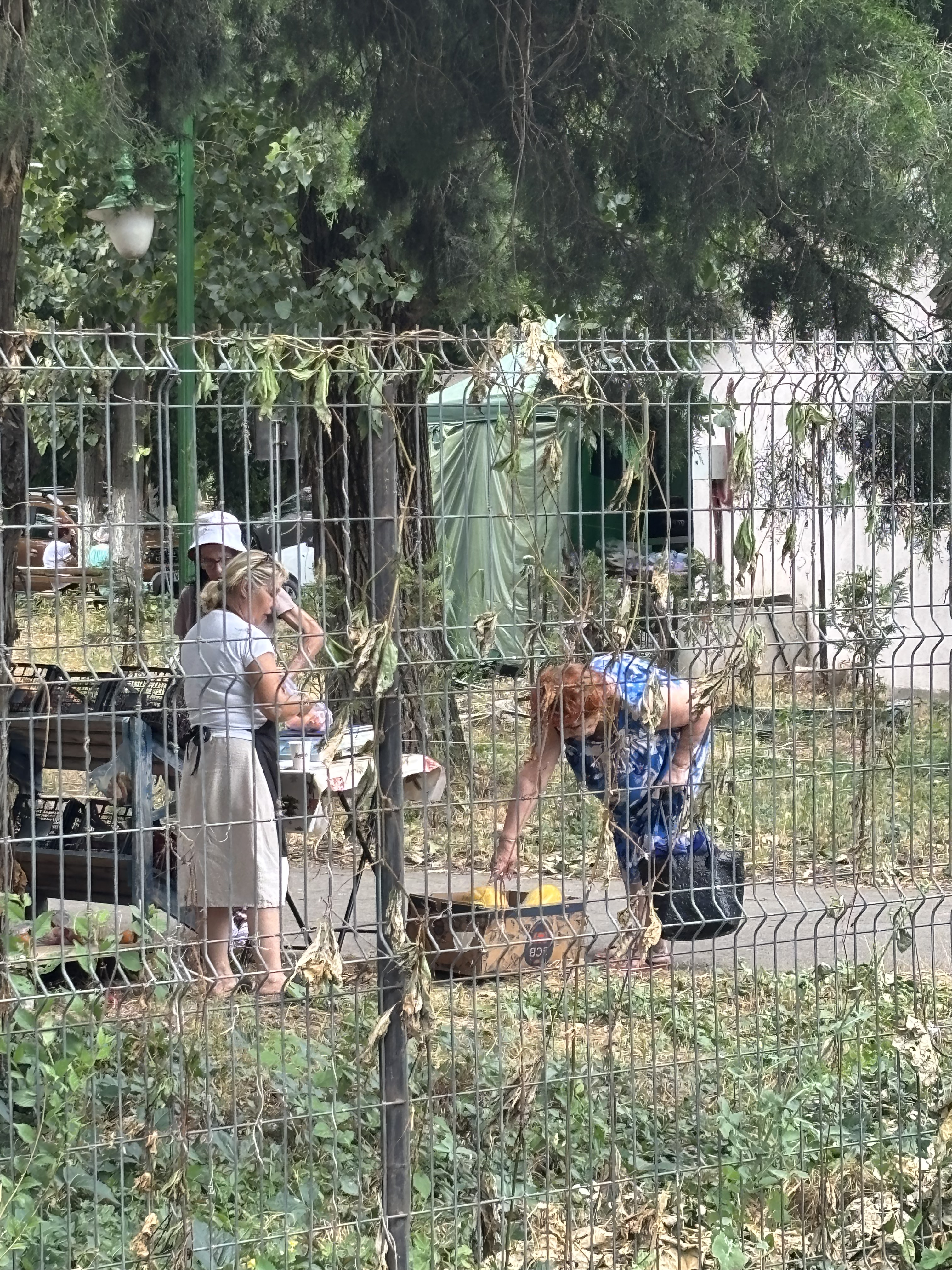 A venit vara/ Am bilete la Amara! Plutire ca la Marea Moartă, nămol ca la Techirghiol, ungere ca în Egipt, istoric ca la muzeu, ospătar ca la Hambar