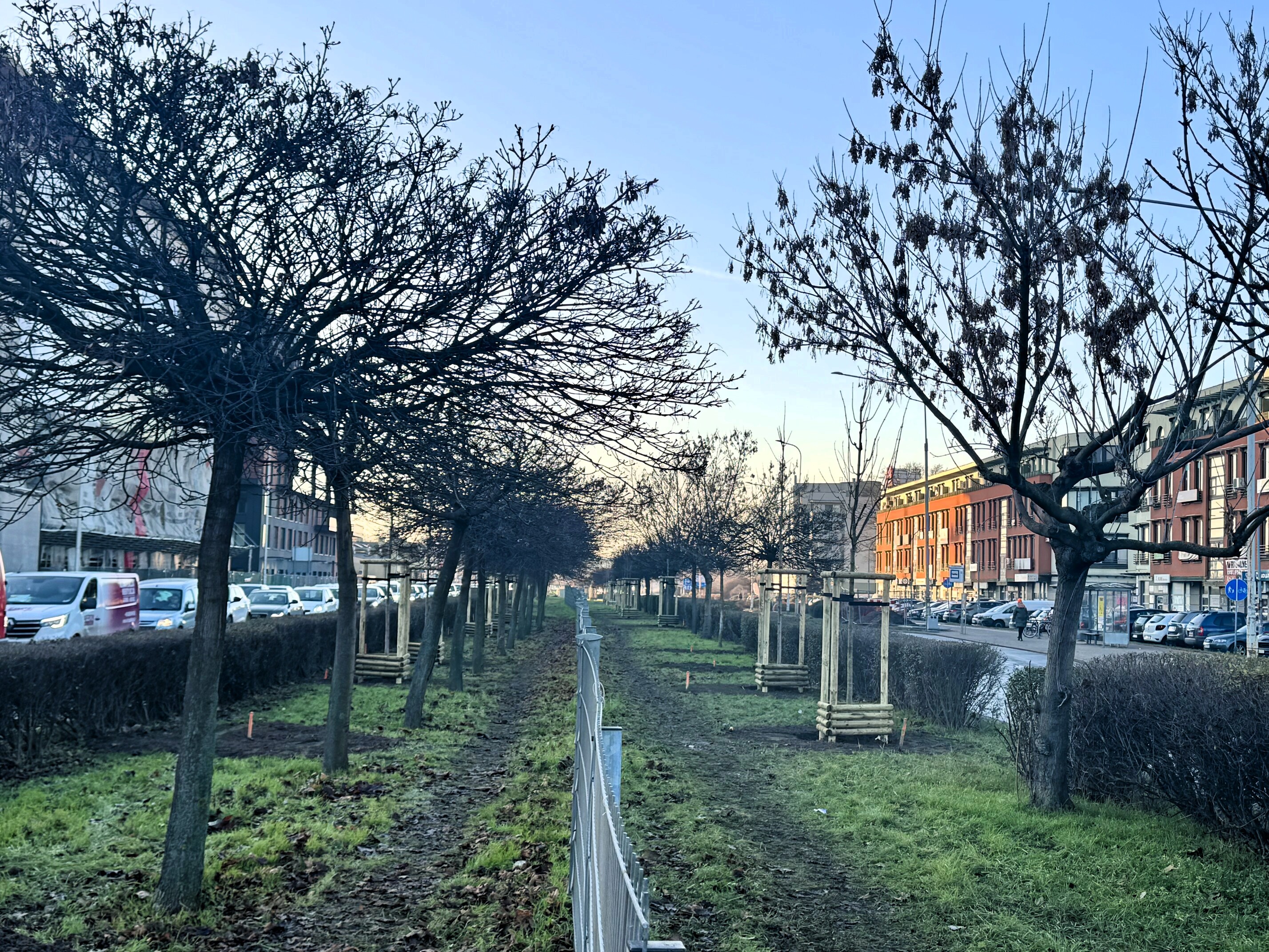 Kolejna zielona arteria we Wrocławiu