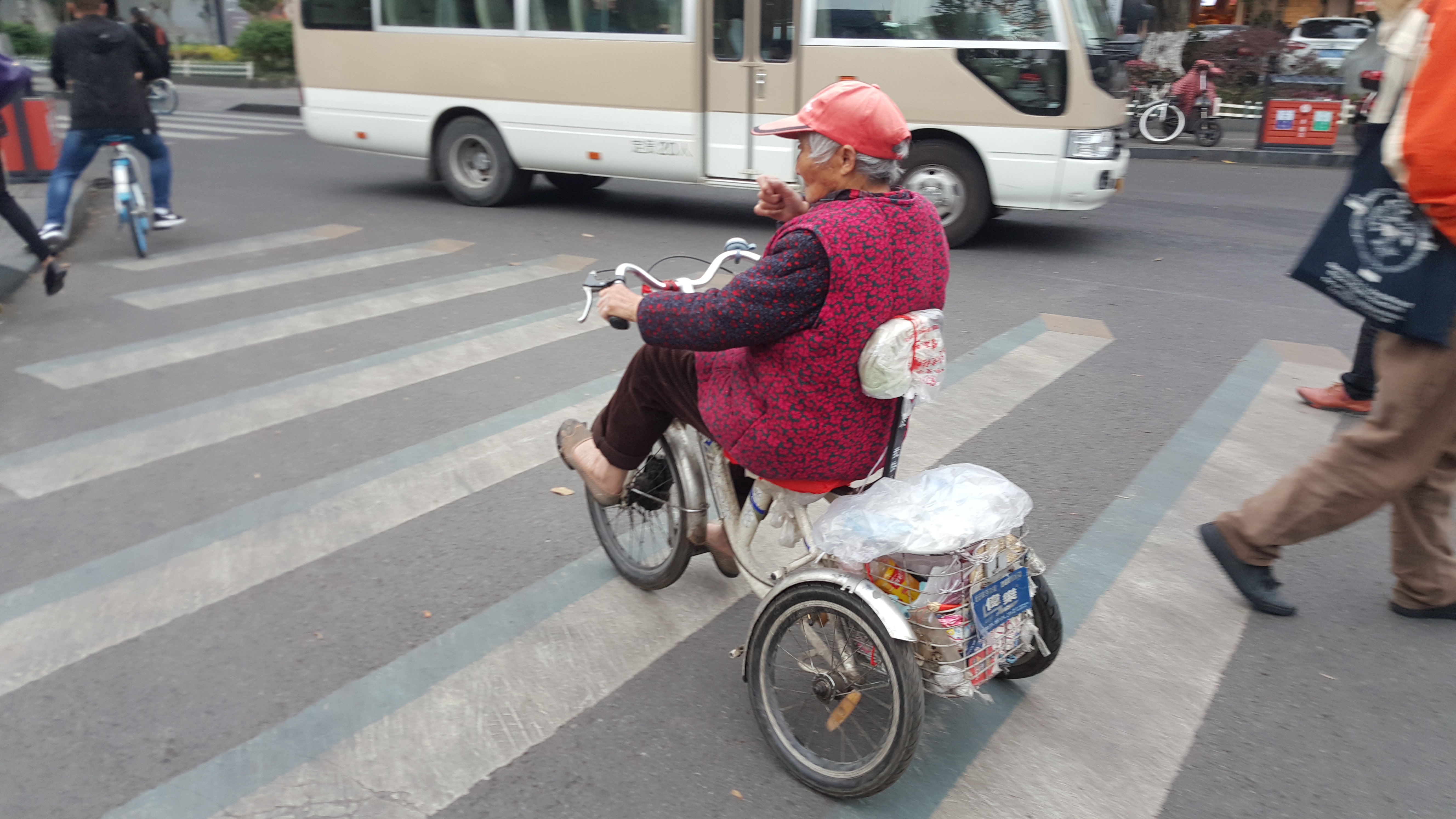 CORESPONDENȚĂ DIN SICHUAN și BEIJING, ULTIMUL CAPITOL | Scriitoarea Doina Ruști, despre plimbarea pe strada unuia dintre cei mai importanți poeți chinezi și excursia la Marele Zid