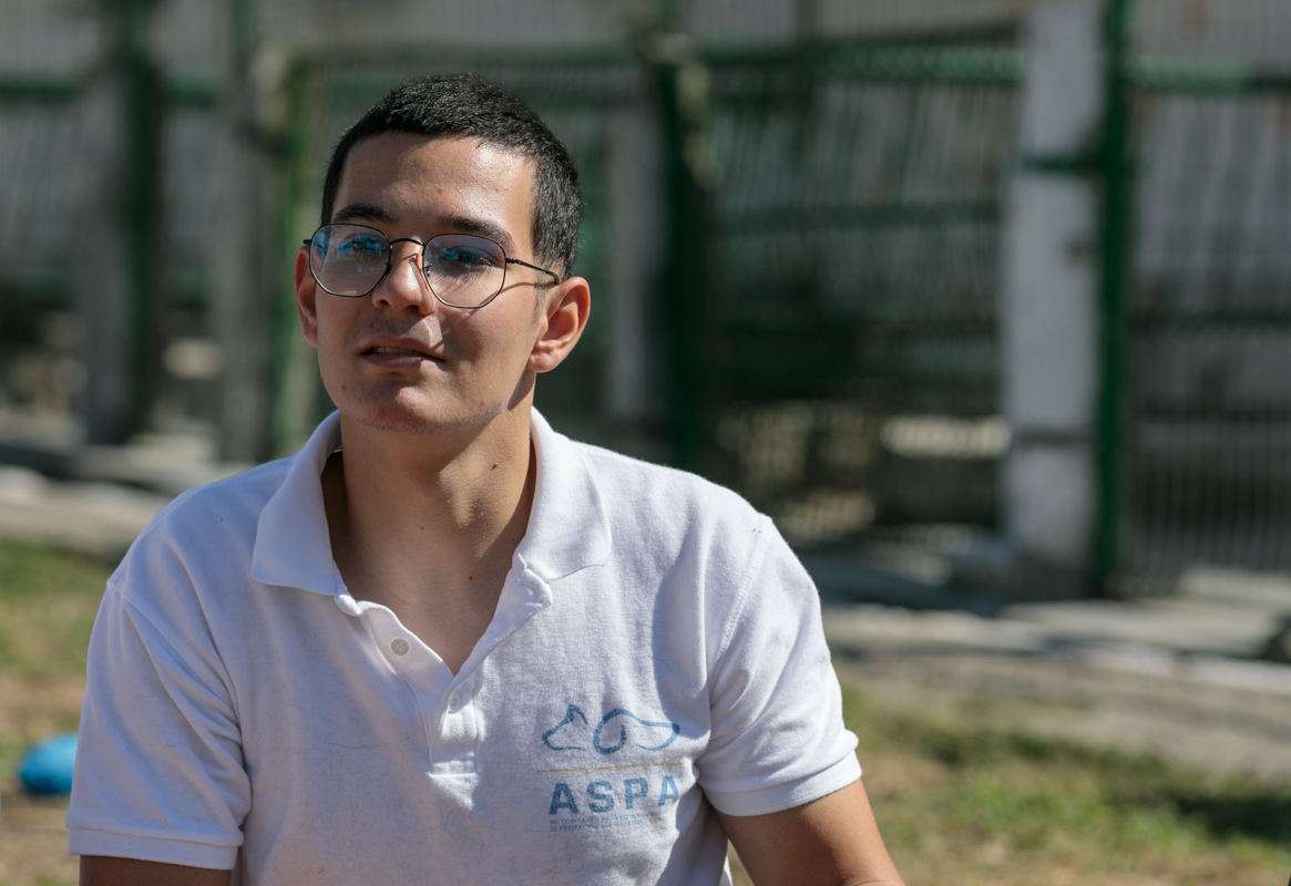 „Îi oferi o viață, iar când crește, îl arunci pe stradă. Ăsta este egoism”. Patru studenți din Turcia au grijă de câinii abandonați din București