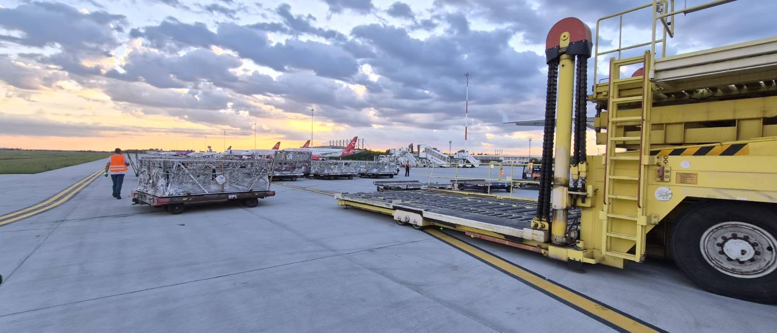 Peste 4.000 de oi, trimise din România în Algeria cu avioane cargo: „Au ajuns în siguranță în două ore și jumătate”