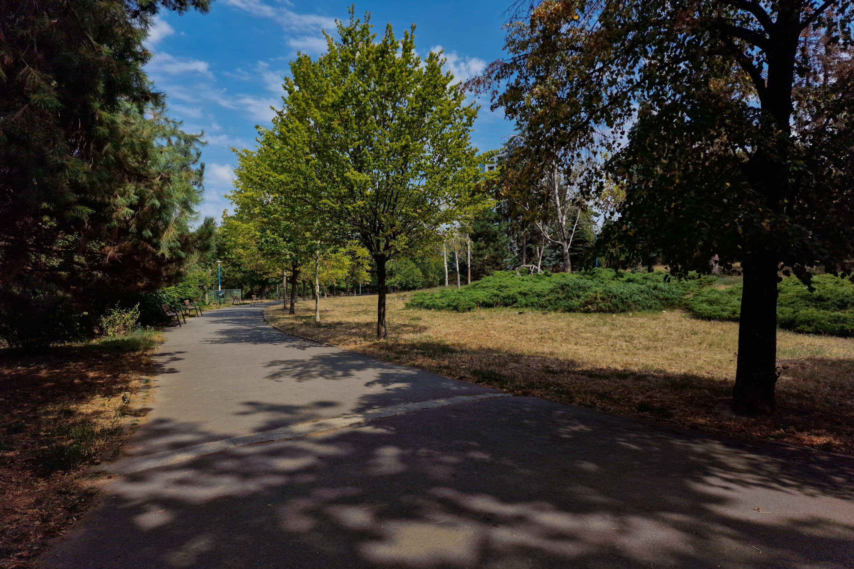 FOTO. În Parcul Circului din București, toată iarba e pârjolită. Rezistă, în schimb, gunoaiele