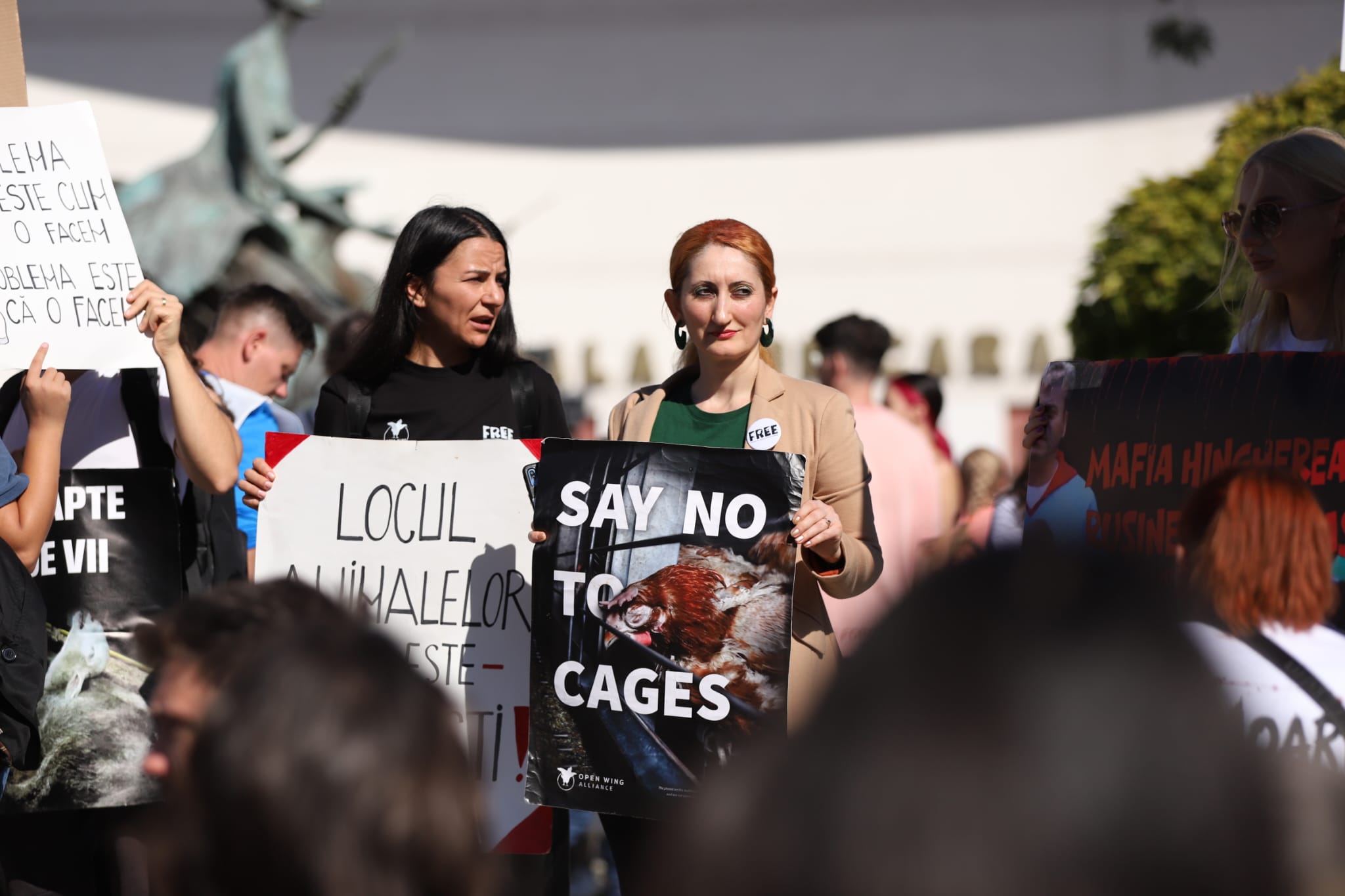 Protest de amploare în București de Ziua Mondială a Animalelor. Peste 70 de organizații cer oprirea uciderii câinilor din adăposturi și legi mai ferme
