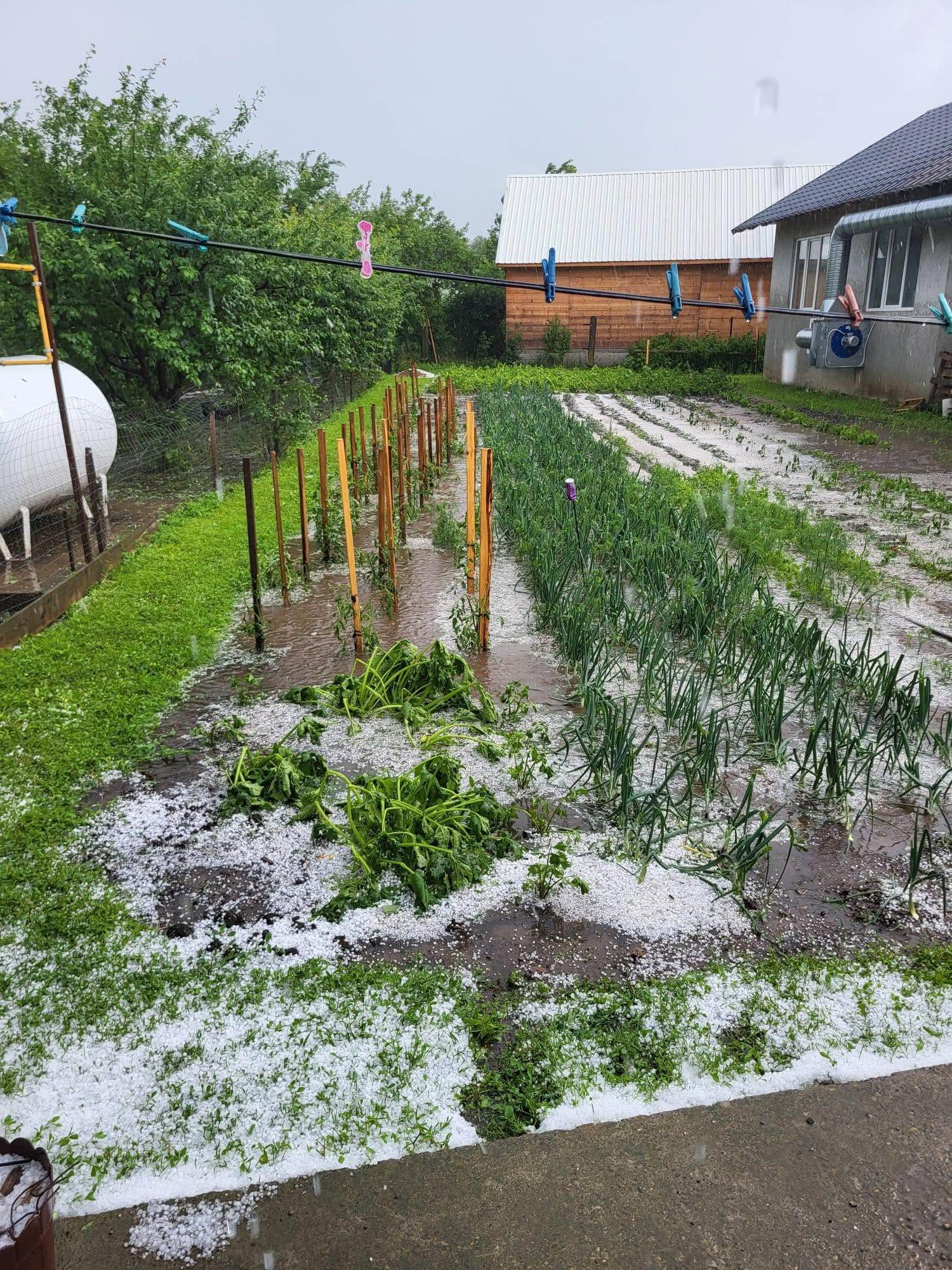 Codul portocaliu de ploi torențiale a făcut prăpăd în țară. În unele zone a plouat în 24 de ore cât într-o lună
