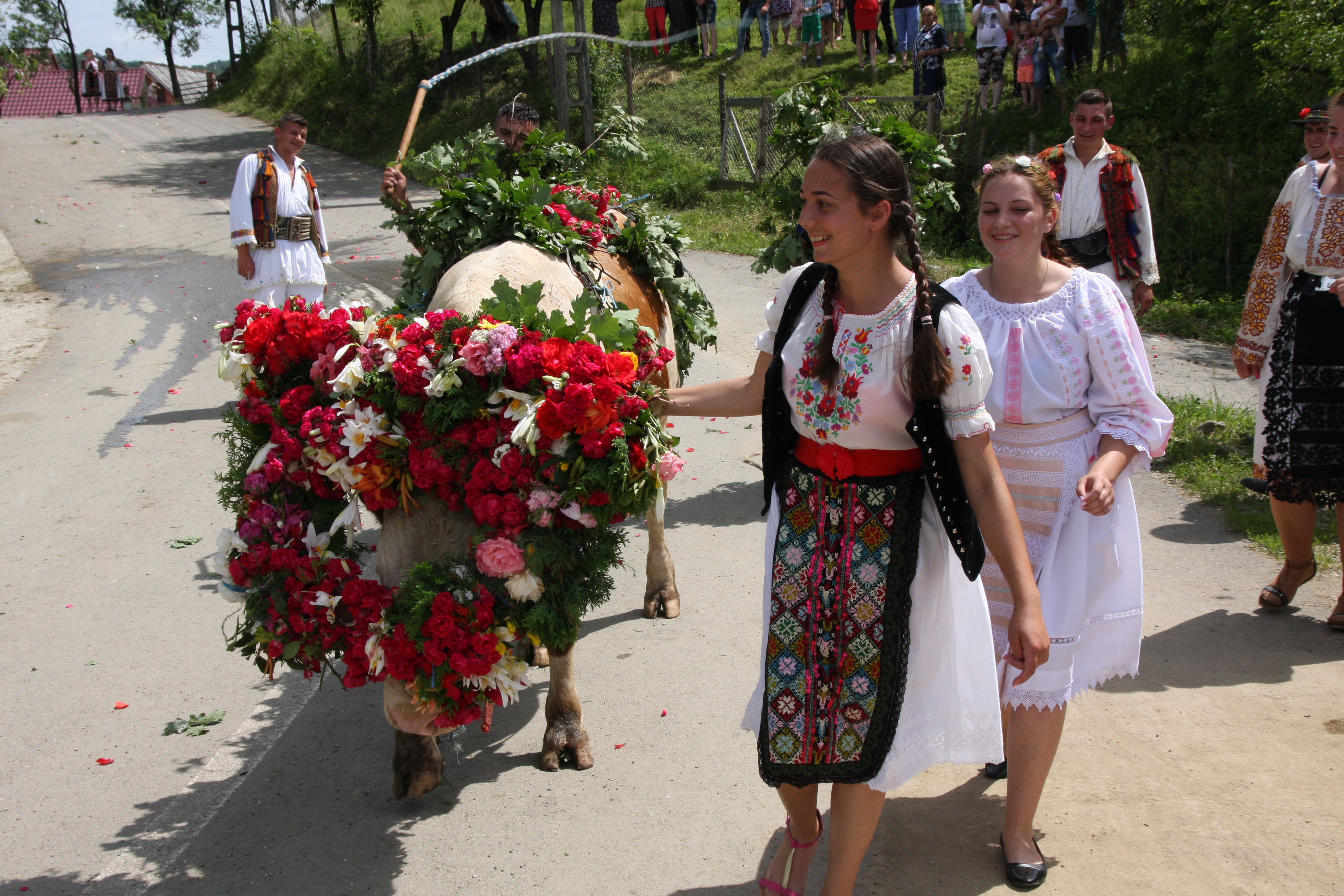 Val de nunţi la Figa după ce fetele au prins boul de Rusalii | GALERIE FOTO