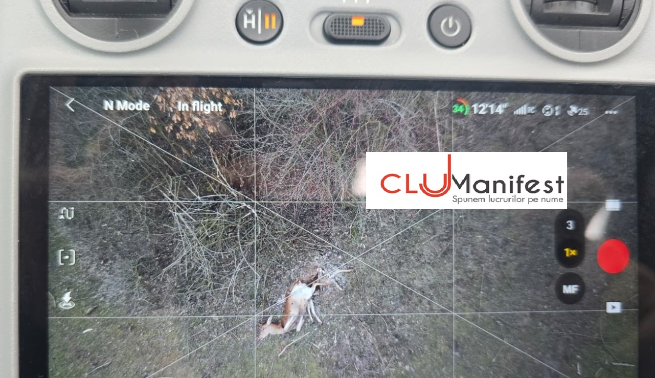 Masacru la ferma de bizoni din Cluj lansată de un fost chestor de poliție I VIDEO