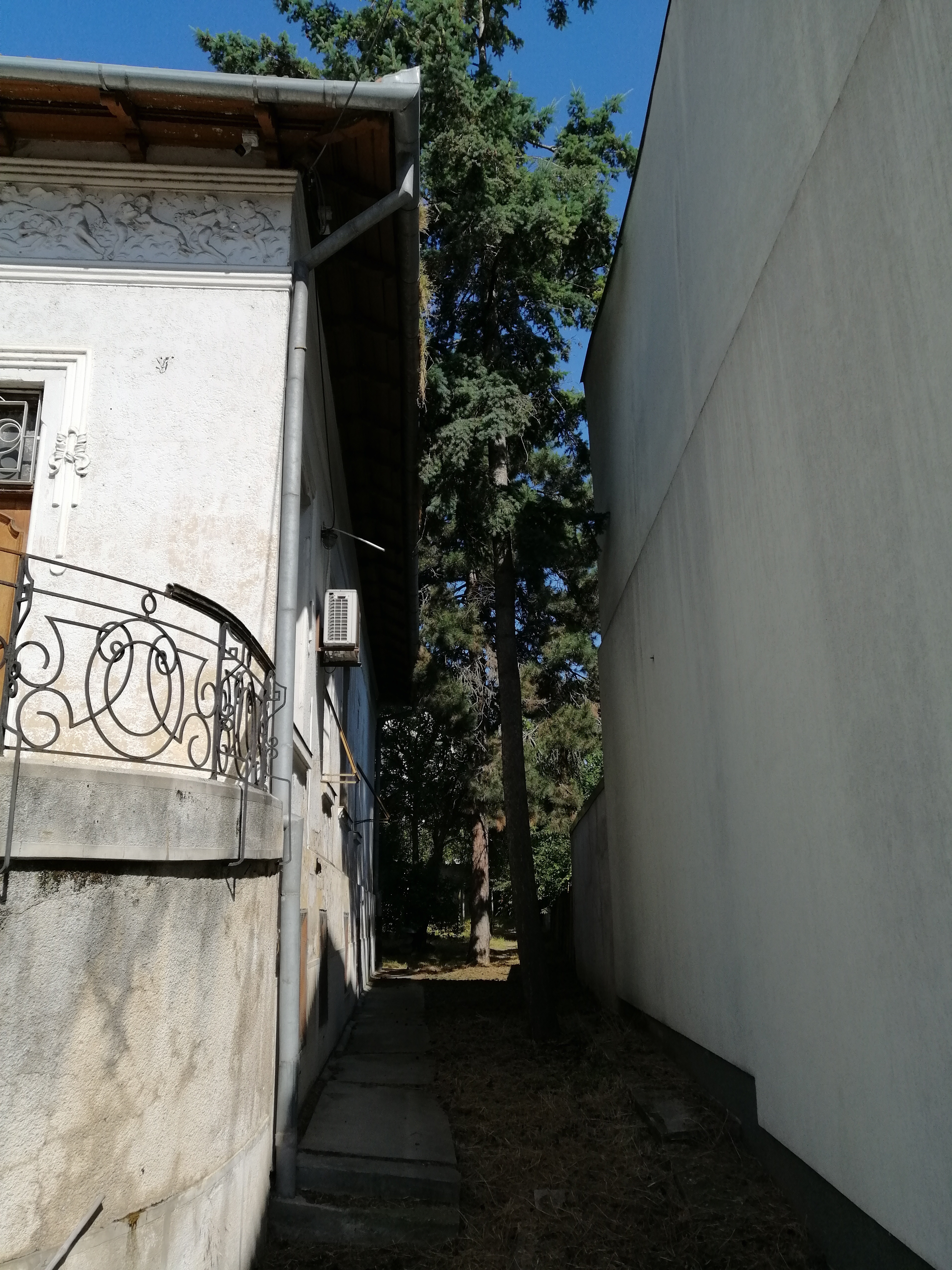 Se vinde o fostă vilă de protocol din vremea lui Ceaușescu. Cât cere statul pe clădirea nefolosită de 3 ani și cum arată acum