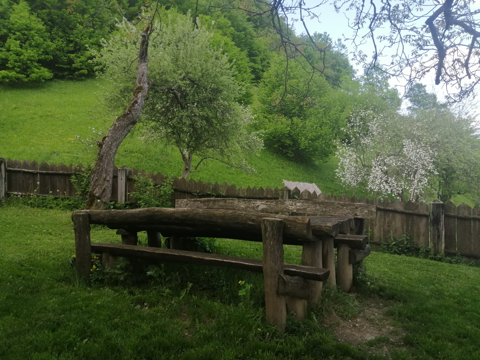 The New York Times a vizitat înainte de încoronare casa din Transilvania a regelui Charles, una dintre cele 56 de cabane, 12 case și 7 palate pe care acesta le deține