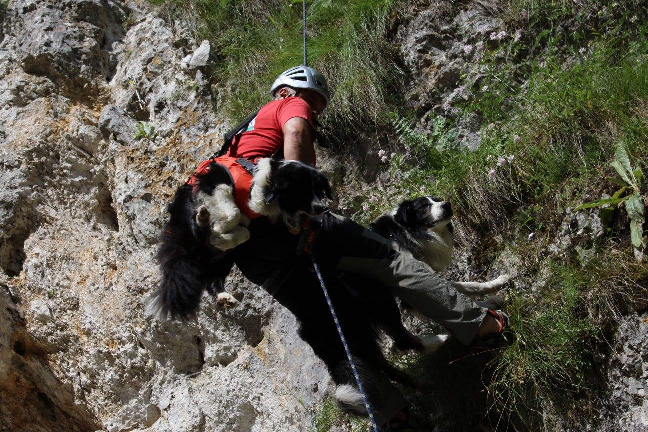 REPORTAJ/Povestea câinilor de avalanșă Helios și Dara sau încrederea de nezdruncinat dintre om şi animal: "Unde merg eu, merg şi ei"/ FOTO