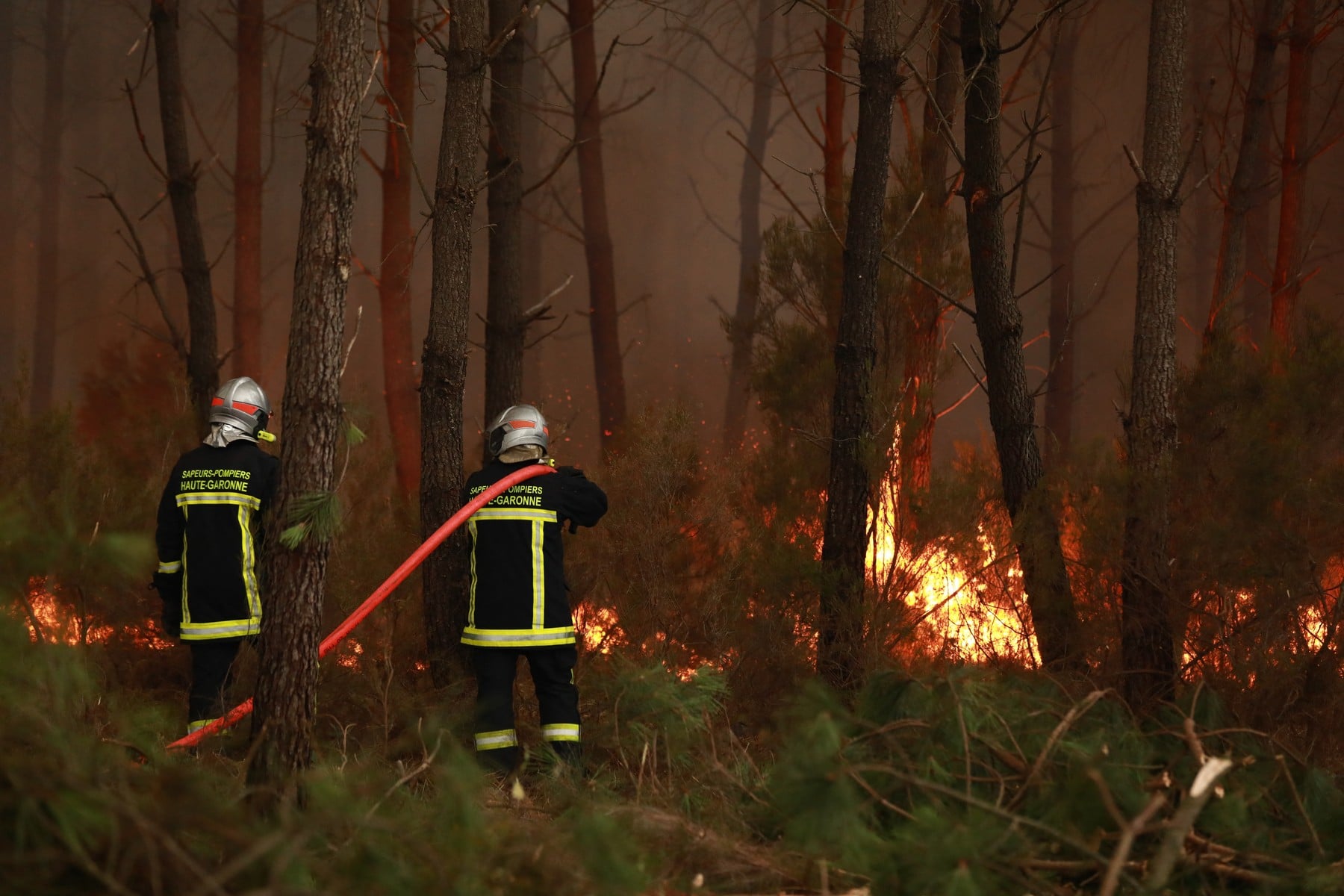 Pompierii români se luptă cu incendiile din Franța. Emmanuel Macron a mulțumit României pentru sprijinul acordat