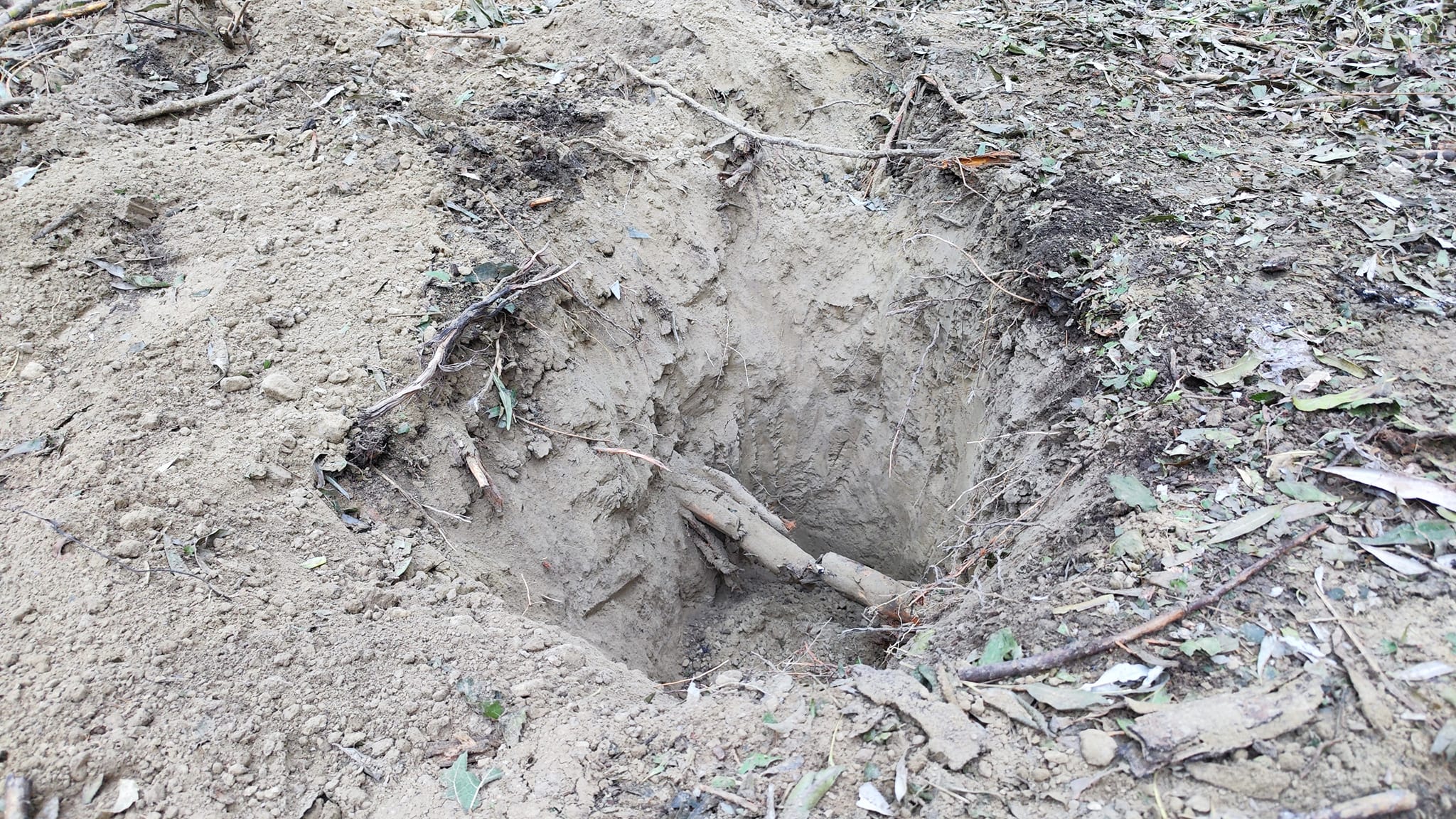 Imagini din locul unde au fost găsite, joi, resturile de dronă rusească pe teritoriul României: copaci carbonizați și cratere