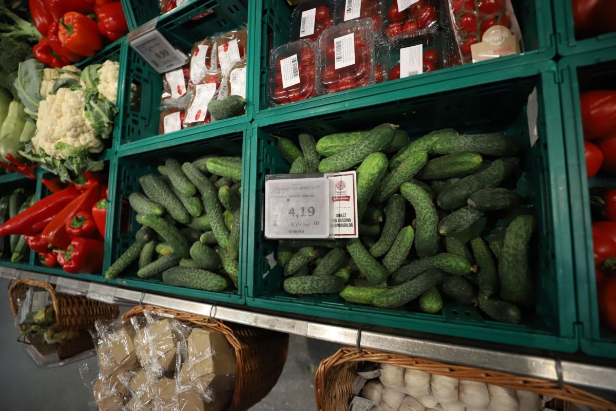 Castraveții românești sunt mai ieftini la supermarket decât la piață. Legumicultorii lasă marfa pe câmp, neculeasă, din cauza prețurilor prea mici