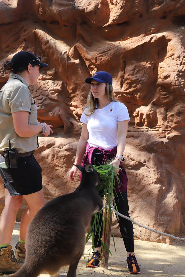 Simona Halep a vizitat grădina zoologică din Sydney. Liderul mondial debutează marți | GALERIE FOTO&VIDEO