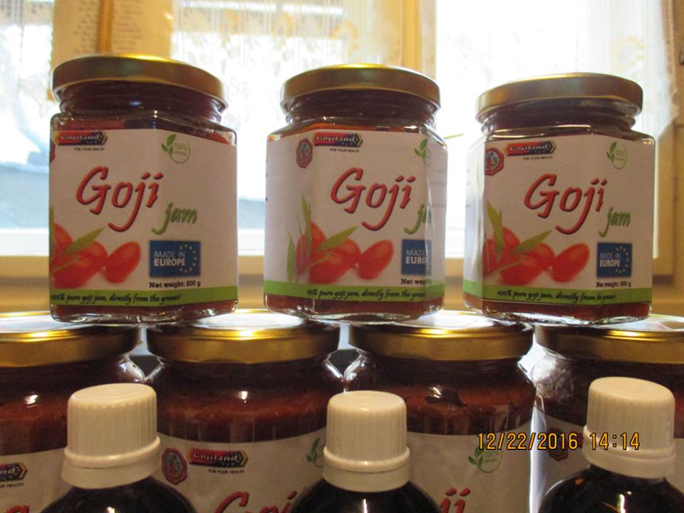 Cea mai mare cultură bio de goji din România, o investiție unică în Europa, riscă să fie distrusă - FOTO