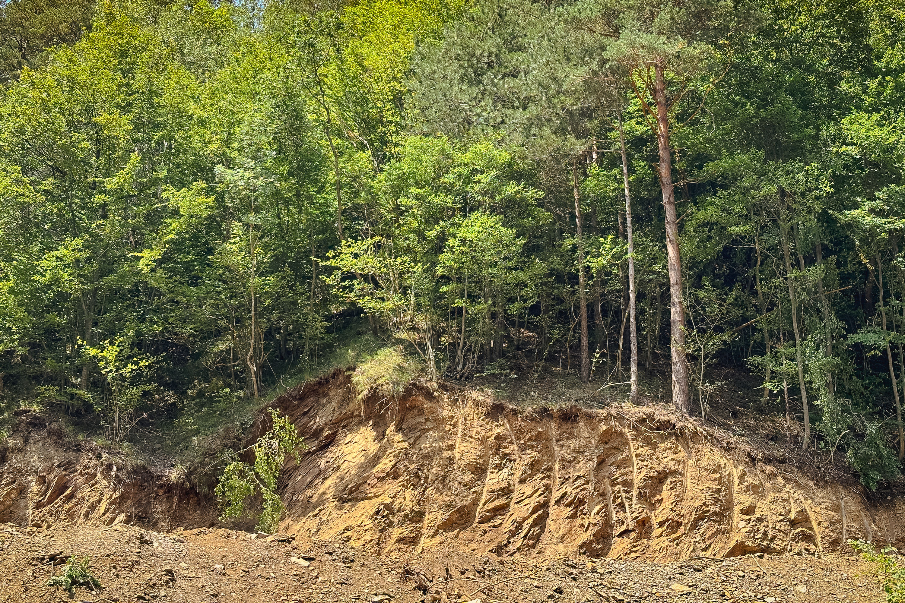 REPORTAJ Valea Oltului - viața după barieră. În lipsa traficului, natura își revine și nu prea, iar ministrul Grindeanu supraveghează cu drona progresul lucrărilor