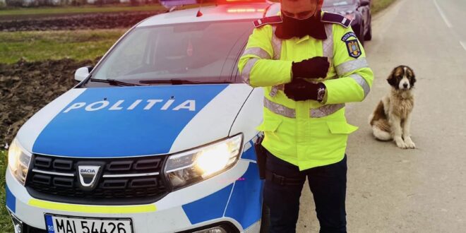 Polițiștii din Cluj i-au găsit stăpân unui câine care a stat cu ei în stradă în timp ce păzeau o localitate carantinată
