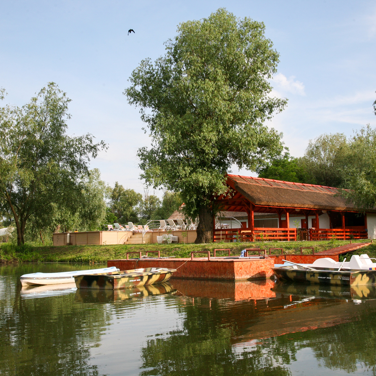 Cum arată insula privată cu resort de lux din Delta Dunării care a fost scoasă la vânzare cu o reducere de 54%. Cât costă întreaga proprietate