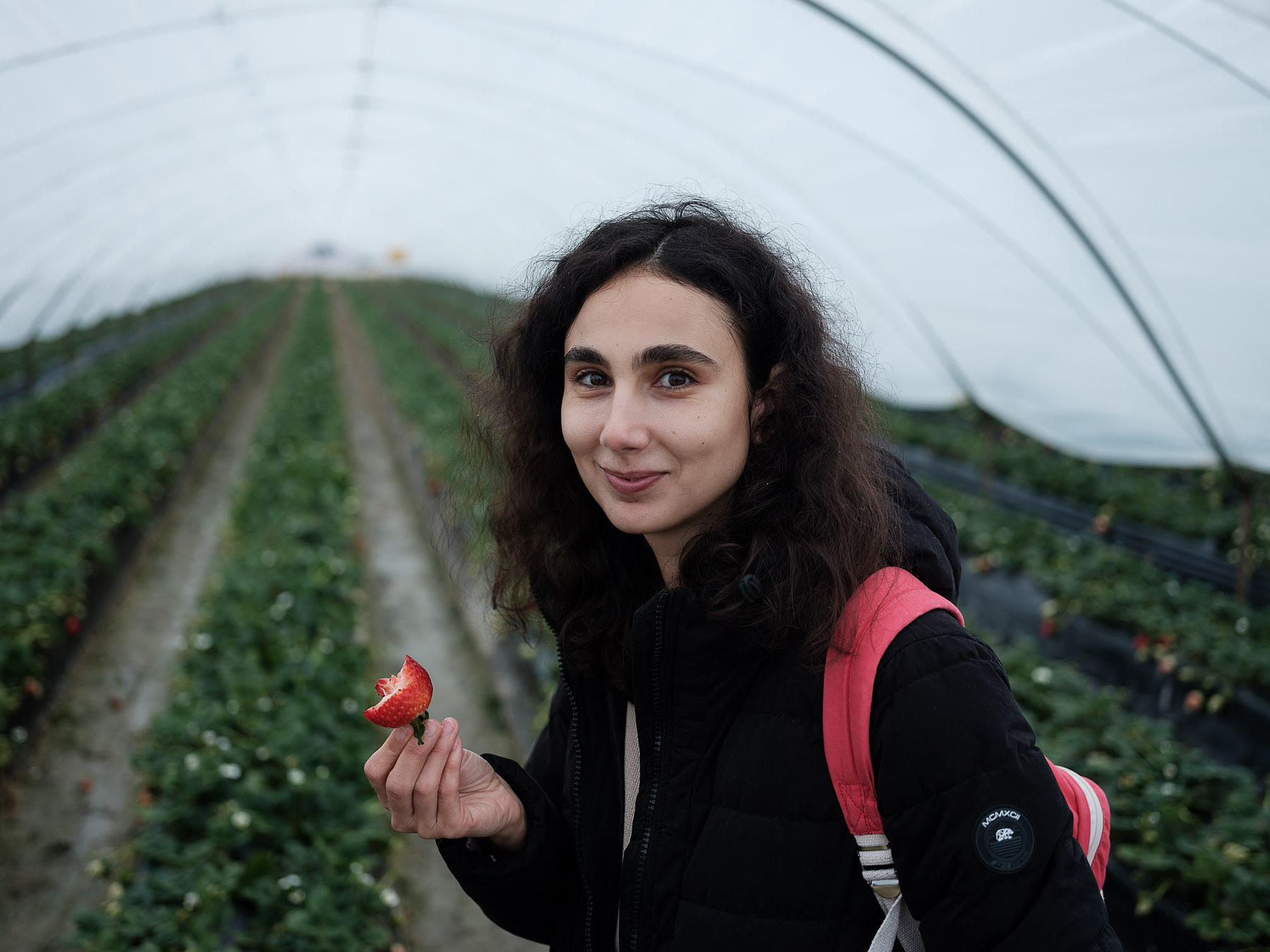 Izolați în autorulotă: Ce fac cei doi jurnaliști români care călătoresc cu duba prin Europa după ce țările și-au închis granițele și au oprit circulația?