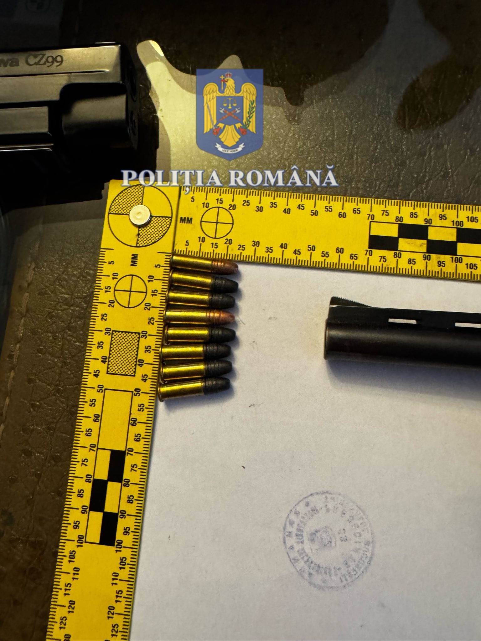 Arme letale, descoperite în Timișoara, în cadrul unor percheziții la susținători ai lui Călin Georgescu. Cum au încercat aceștia să scape de ele