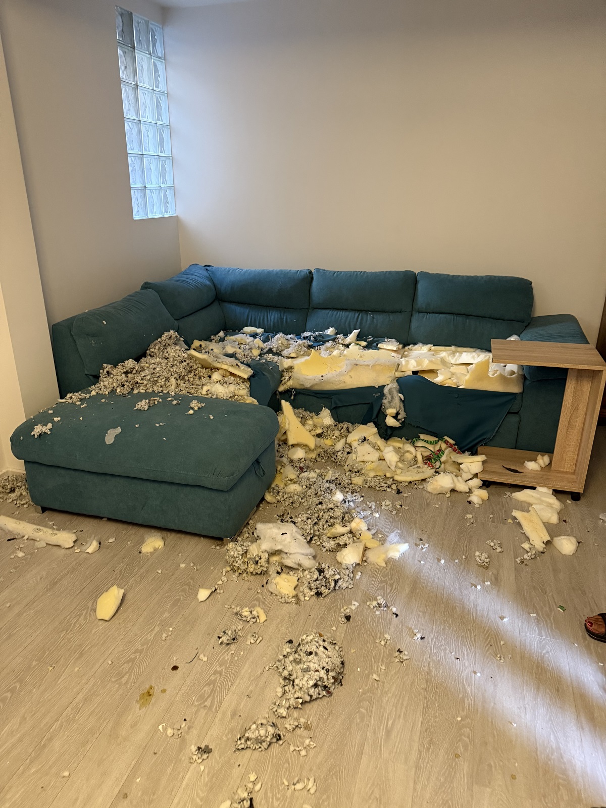 Imagini înainte și după cu apartamentul pe care Calina Dumitrescu l-ar fi distrus. Proprietara rupe tăcerea: „O pune pe mama ei sa se ocupe de mizeria pe care ea o face”