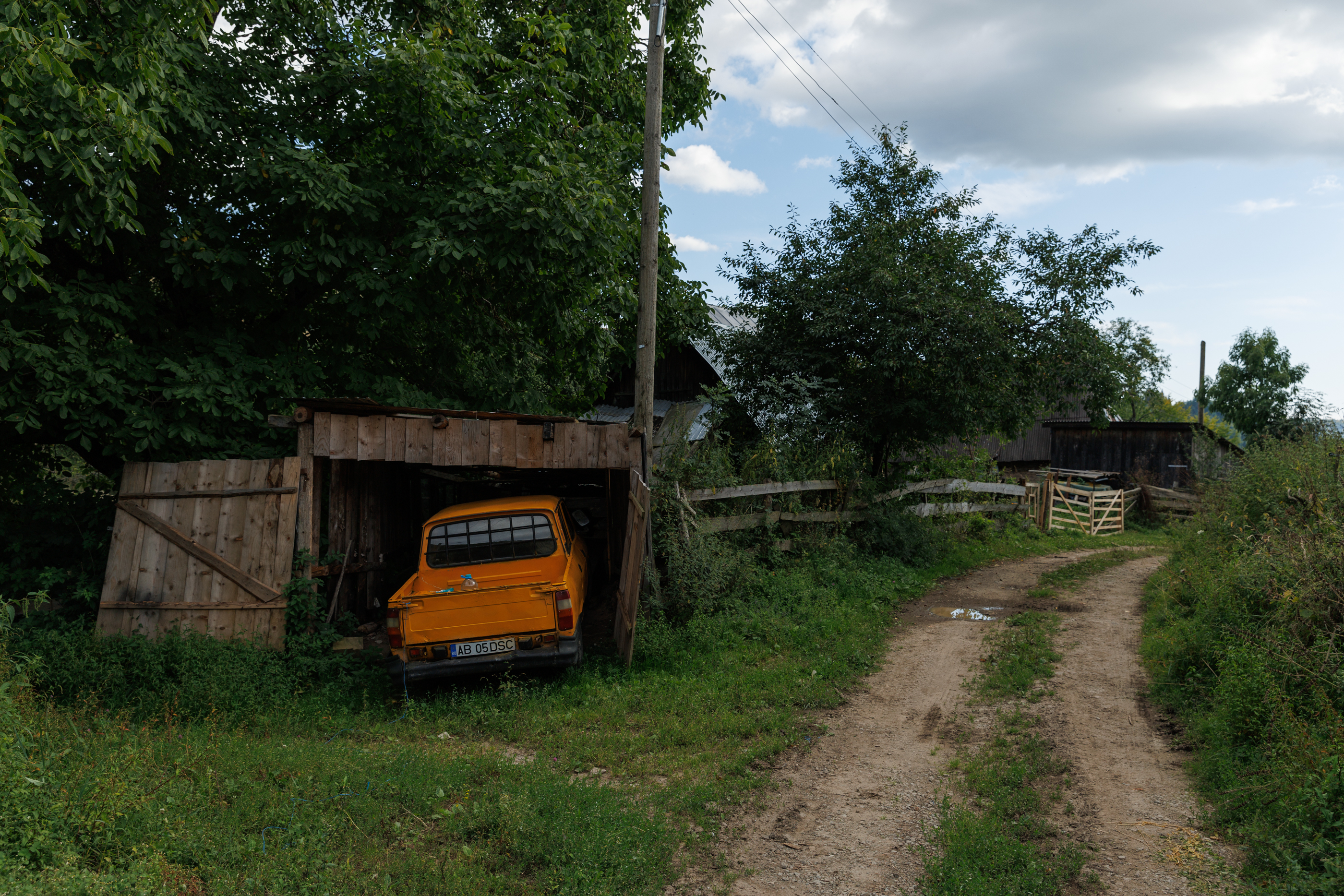 „Cei rămași”. Viața ultimilor muntăreni din Munții Apuseni. Cum arată școala din junglă