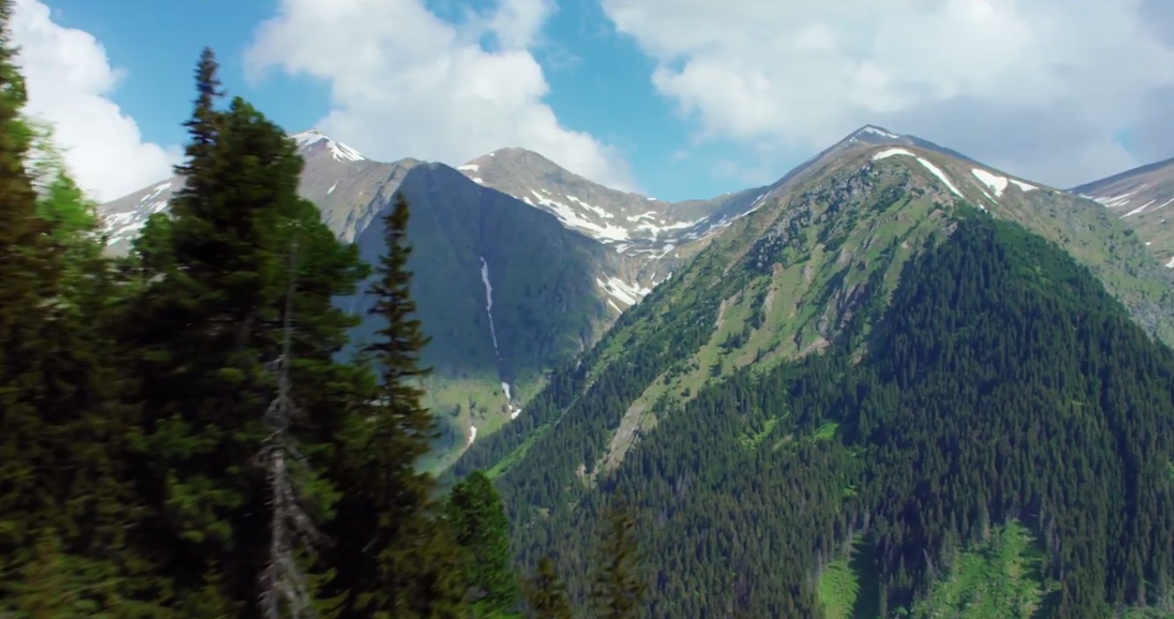 VIDEO România neîmblânzită, imagini fabuloase din pădurile României, într-un film britanic care ajunge azi și în România. Azi este Ziua Internațională a Pădurilor