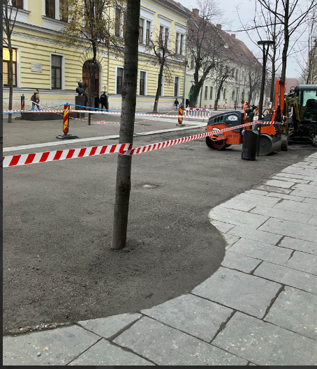 Muncitorii au turnat pietriș tasat în jurul copacilor, pe o stradă din centrul orașului Cluj-Napoca. RADP: „Nu mai suntem în asociere, nu am luat nici un leuț”