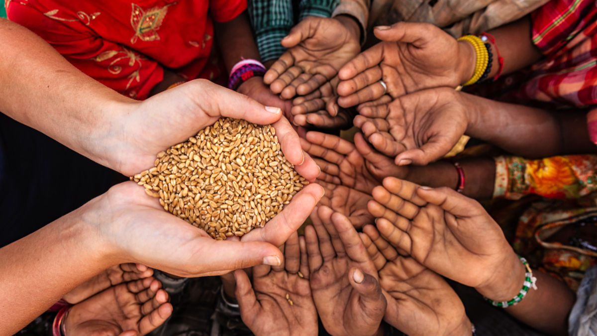 Volunteer caucasian woman giving grain to starving African children. [Stock Photo/Getty Images]