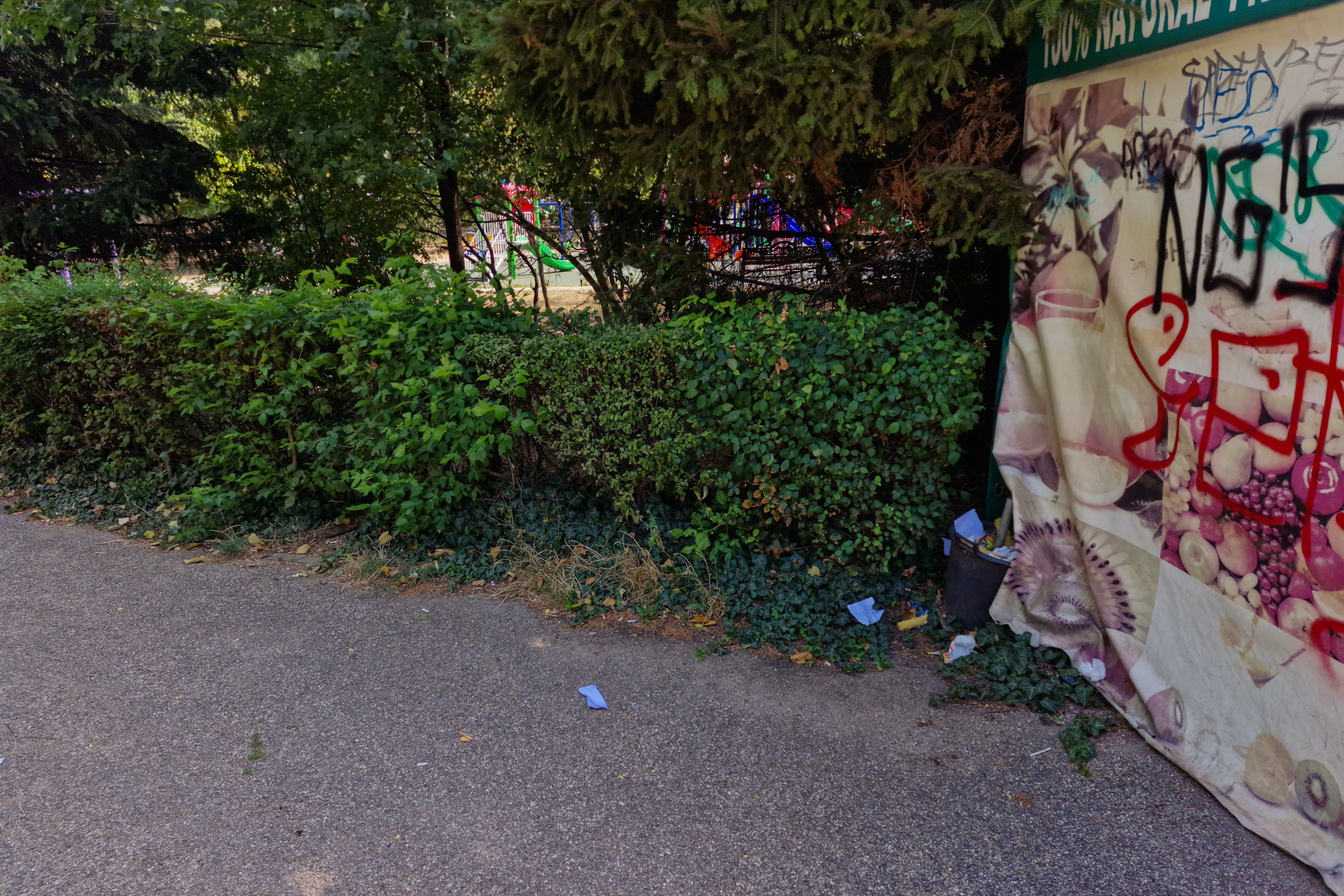 FOTO. În Parcul Circului din București, toată iarba e pârjolită. Rezistă, în schimb, gunoaiele