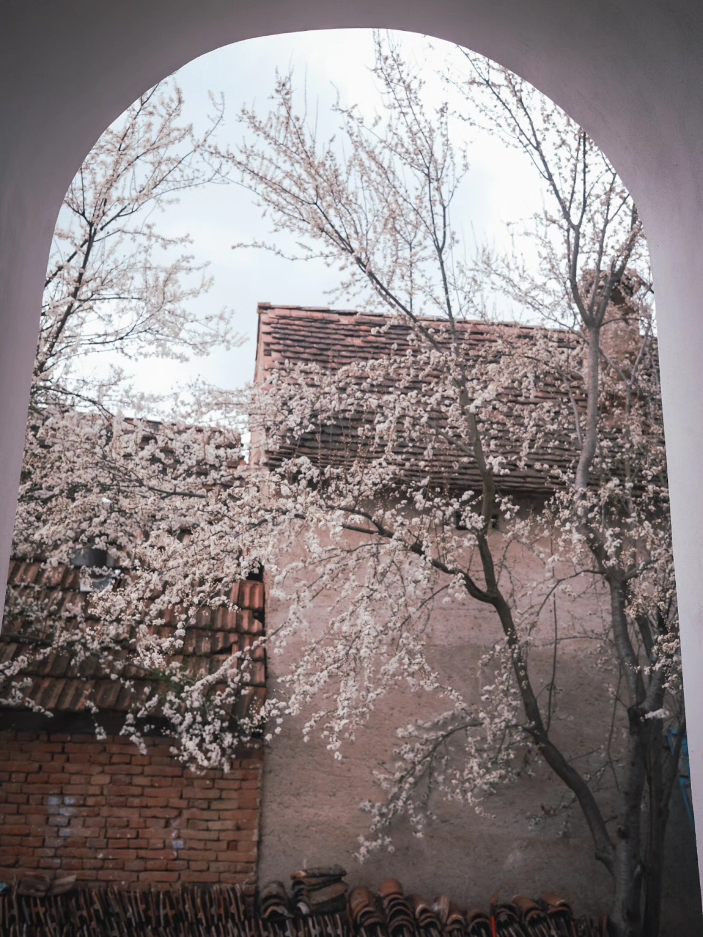 Noi imagini cu casa de la Viscri a Danei Rogoz. Cum a amenajat interiorul. „Duminică seara am ajuns. Renovarea continuă în curte”