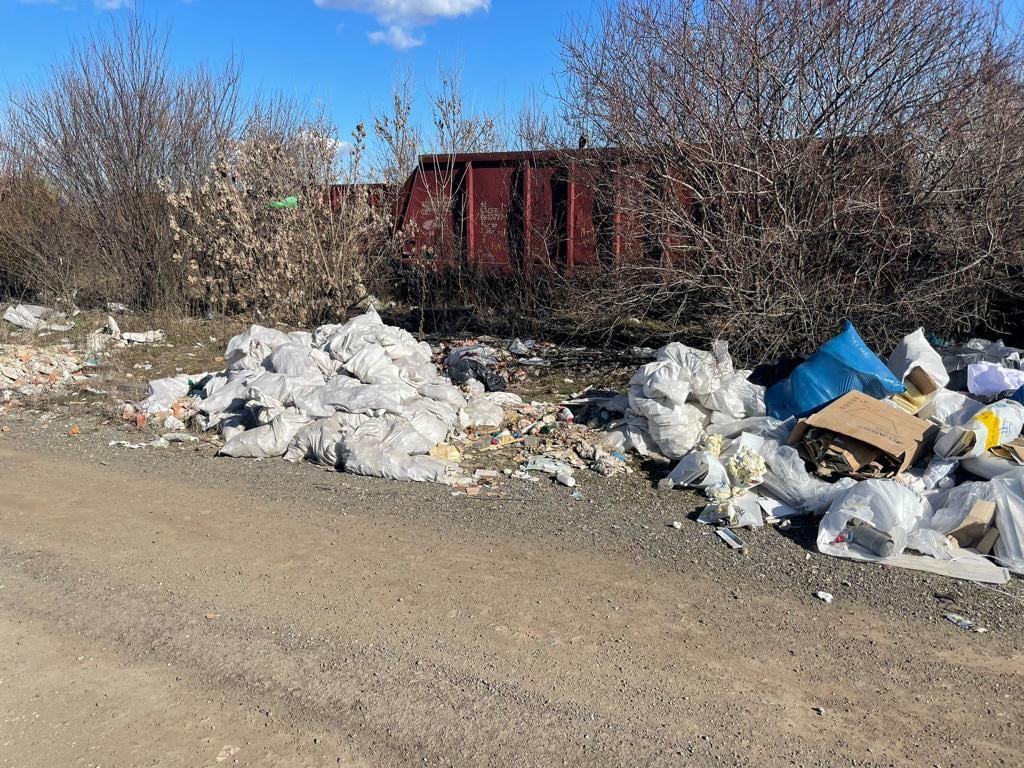 Mai multe zone unde erau arse ilegal cantități mari de deșeuri, descoperite la marginea Capitalei