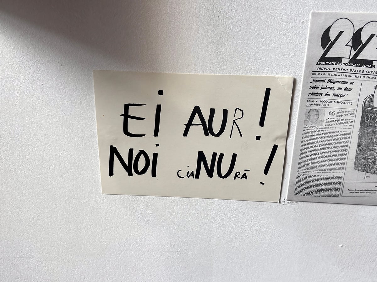 „Absolut toate revoltele noastre de-o viață împotriva lui Ceaușescu și a tuturor micilor dictatori «care ne călăresc »”. Reportaj despre Lia și Dan Perjovschi
