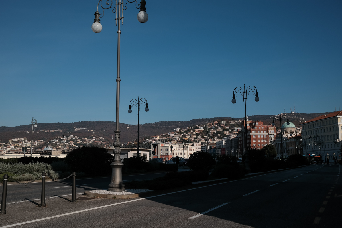 Povestea tinerei care a plecat în Italia la 15 ani din Gherţa Mare şi a ajuns antreprenoare, cu patru localuri şi o firmă de construcţii. „Mă simt liberă, am învățat că poți să începi oricând de la zero”
