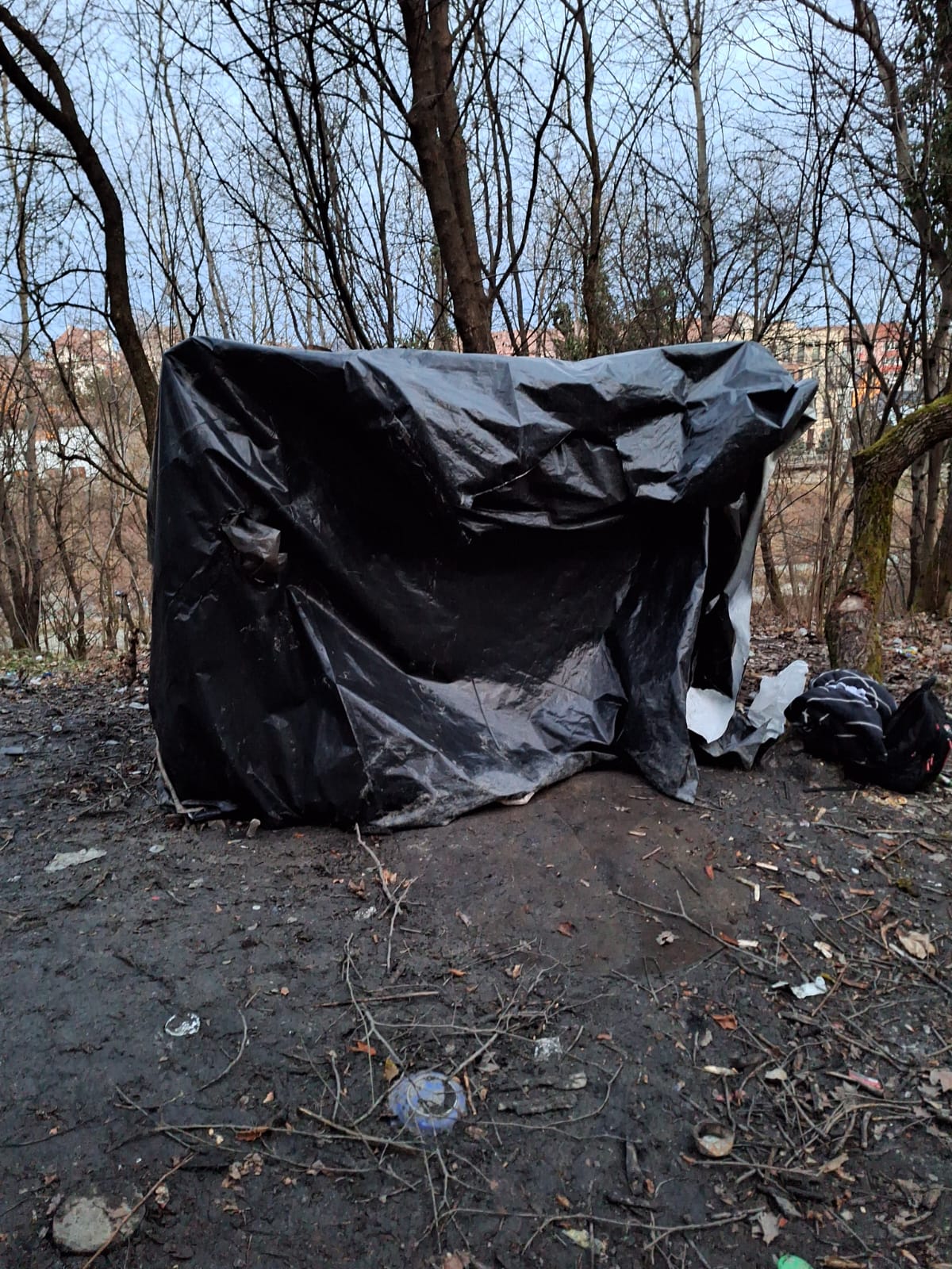 Opt oameni fără adăpost, găsiți în corturi din pături și celofan, într-o pădure din Bistrița. Printre ei, o fetiță de 2 ani și un băiat de 6 ani