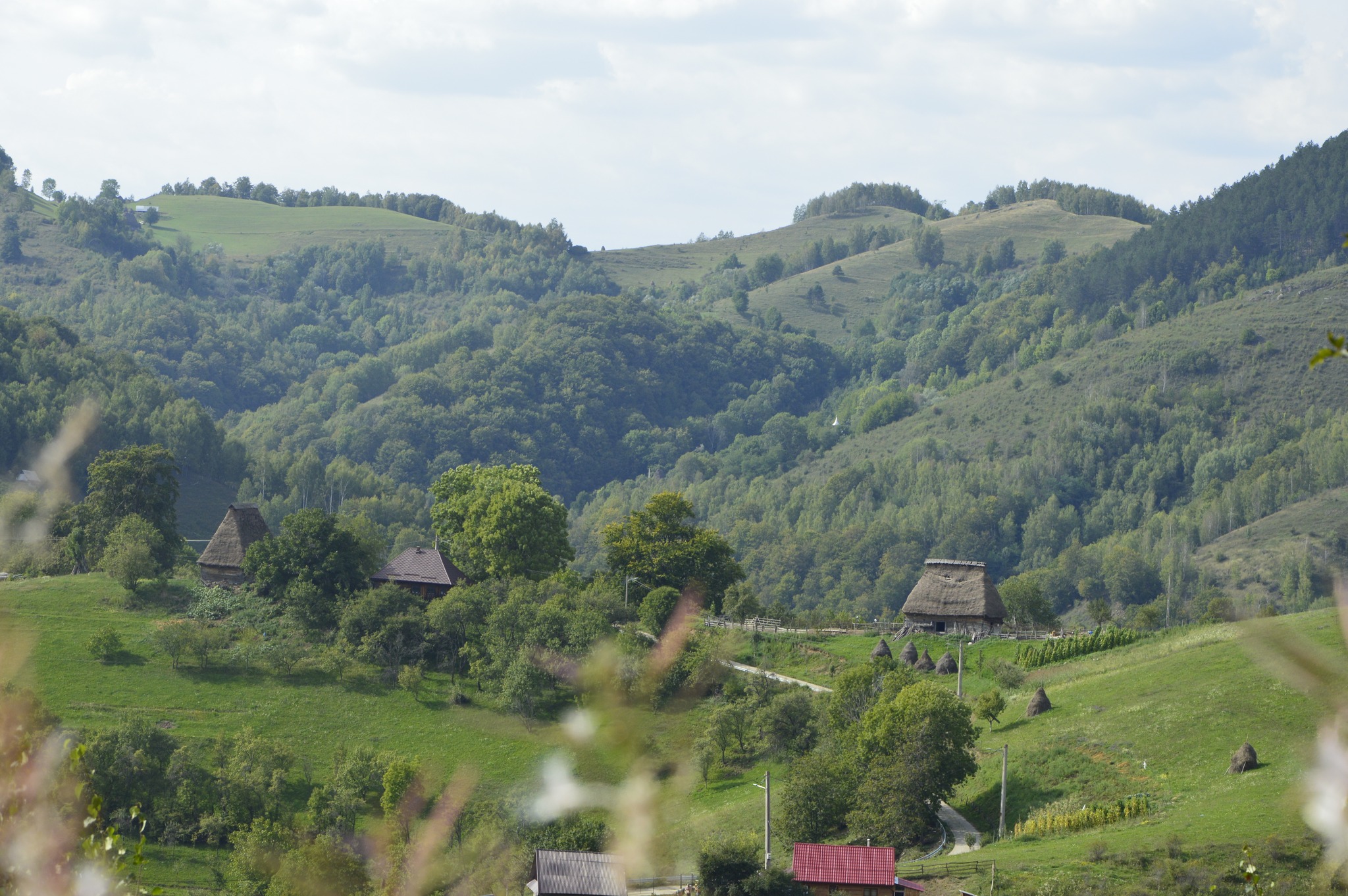 Șurile cu acoperiș din paie, construcțiile arhaice din Apuseni care rezistă de peste 100 de ani. Drumul nou care le face accesibile turiștilor