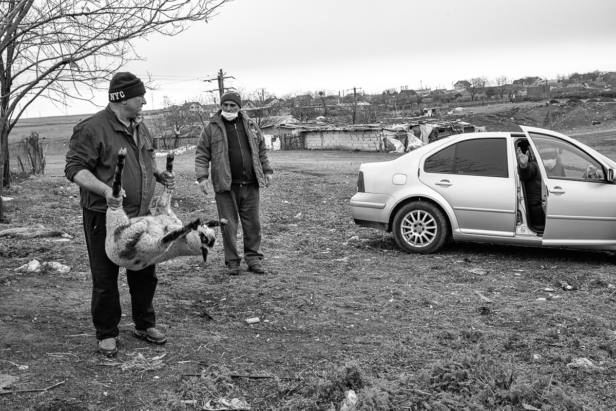 Povestea oierului care și-a chemat fiii din Anglia să-l ajute pentru mieii de Paște: ”O să tăiem și oile ca să nu moară de foame”