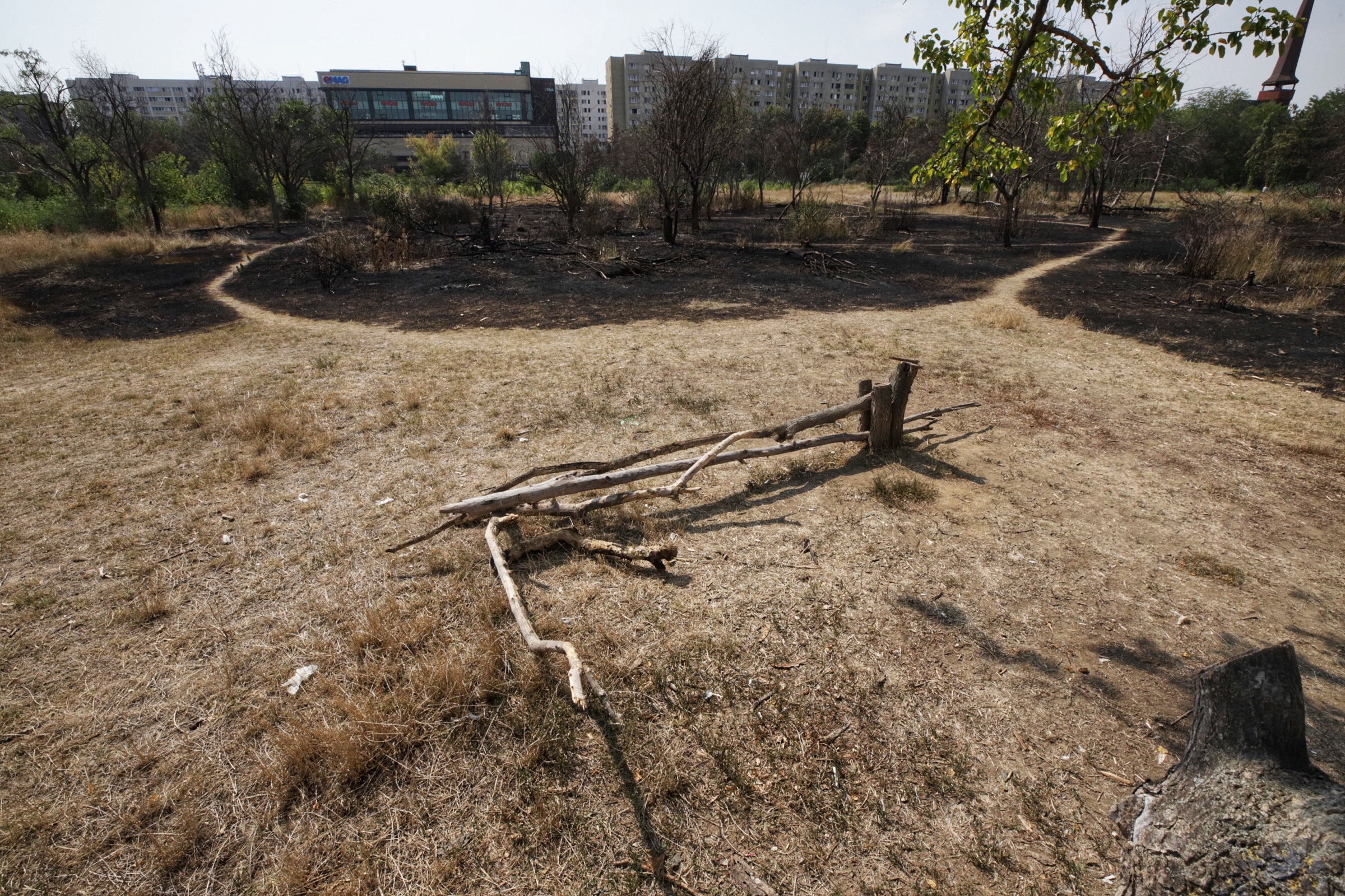 FOTO Cum arată Parcul IOR, după incendiul care a ars 4.000 de metri pătrați de vegetație