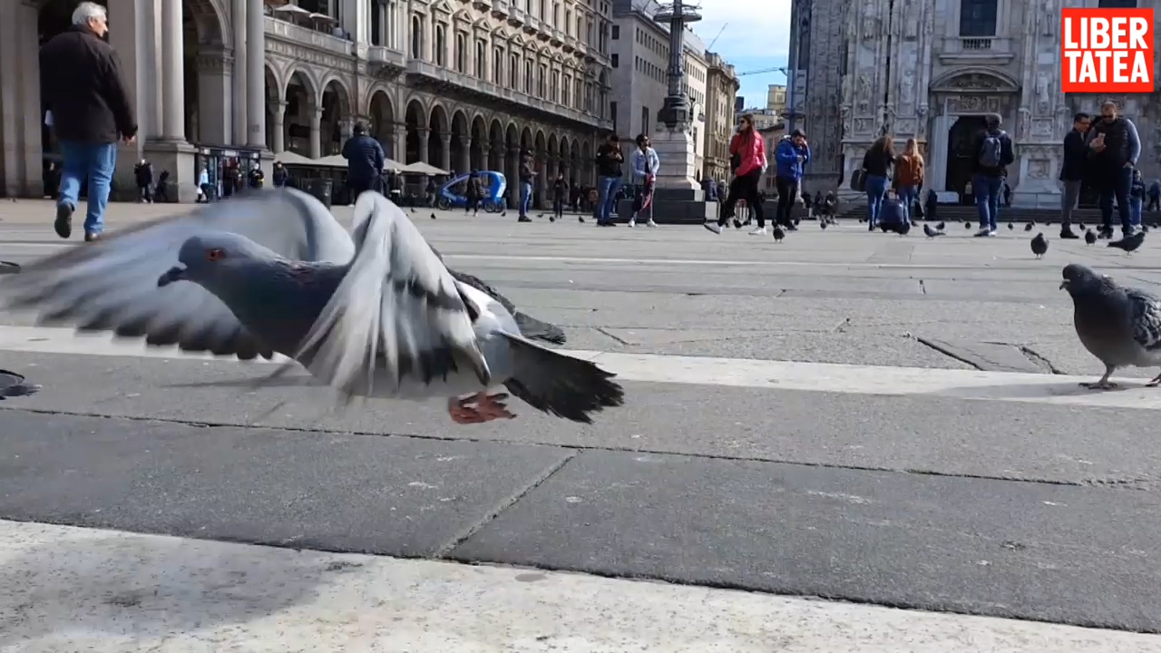 Corespondență din Milano de la trimisul special Libertatea. Turism în vremea coronavirusului: city-tour cu autobuzul gol și chelneri cu mănuși chirurgicale