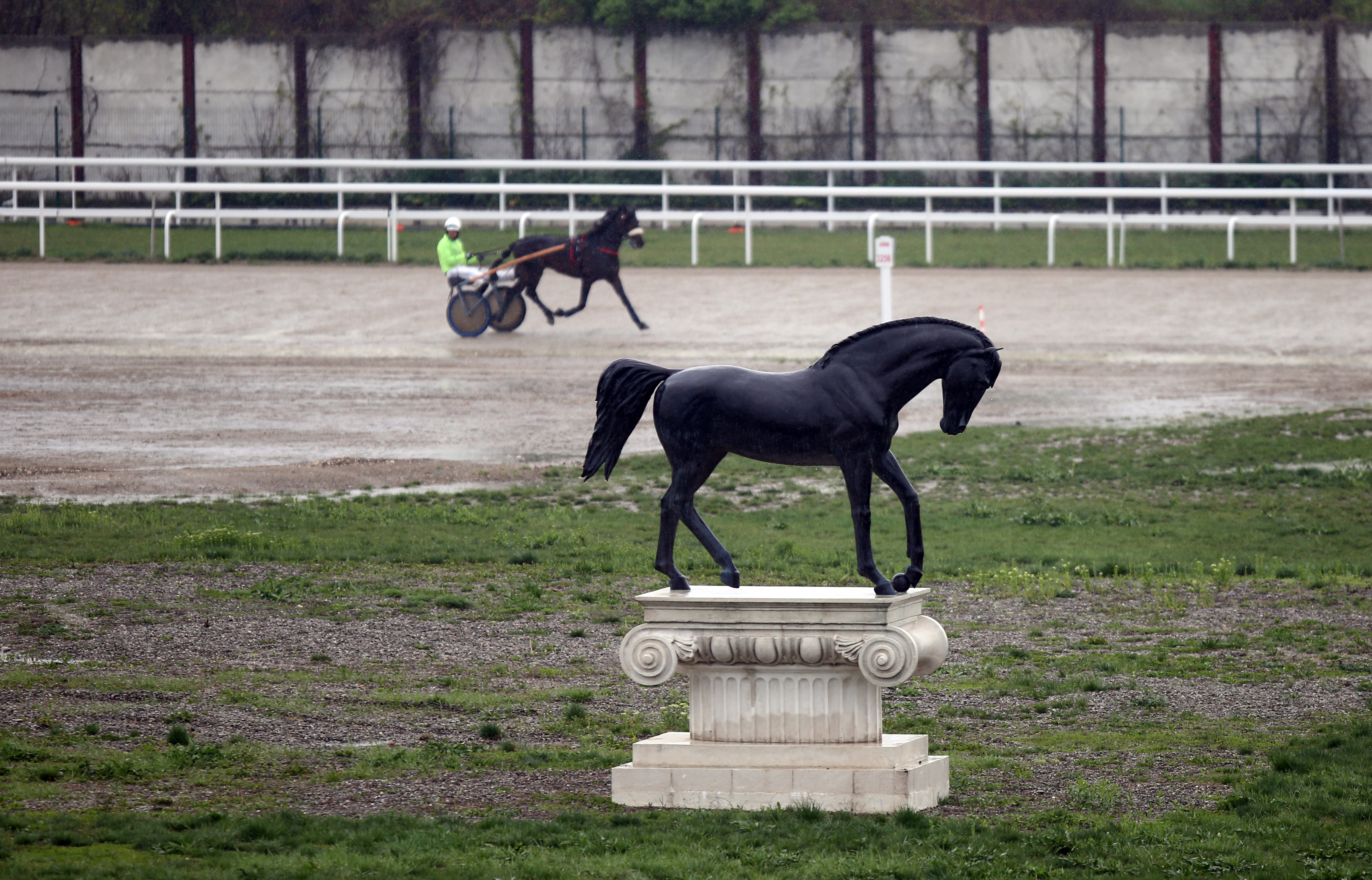 FOTO | Armăsarul - iapa = remiză. Bădie și Histoire D’Inverne și-au împărțit victoriile în primele curse din 2019 de pe hipodromul din Ploiești!
