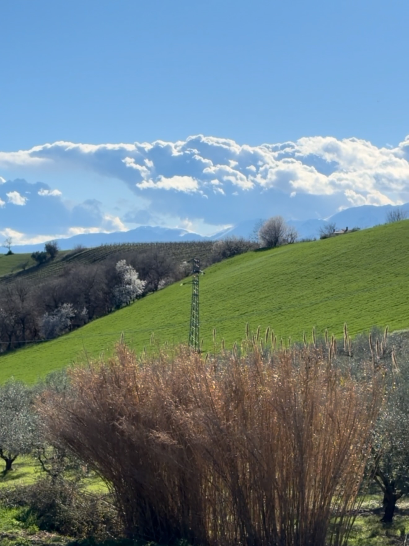 Gabriela Cristea a publicat imagini cu priveliștea de pe terasa casei din Abruzzo, Italia. „Ireal de frumos”