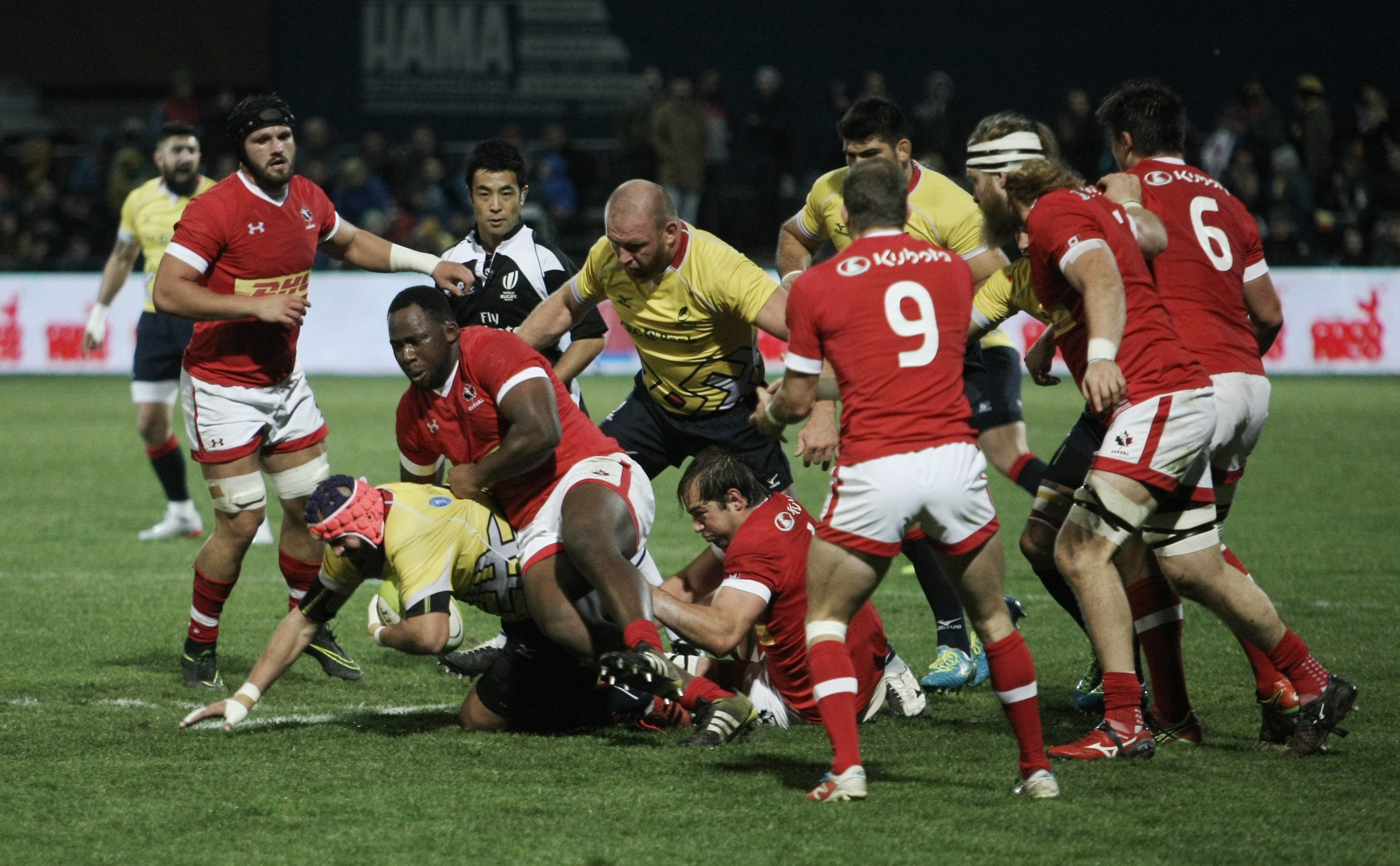 România a învins Canada la rugby. Fanii români au sărbătorit pe teren cu ”stejarii” și cu ”arțarii” | FOTO