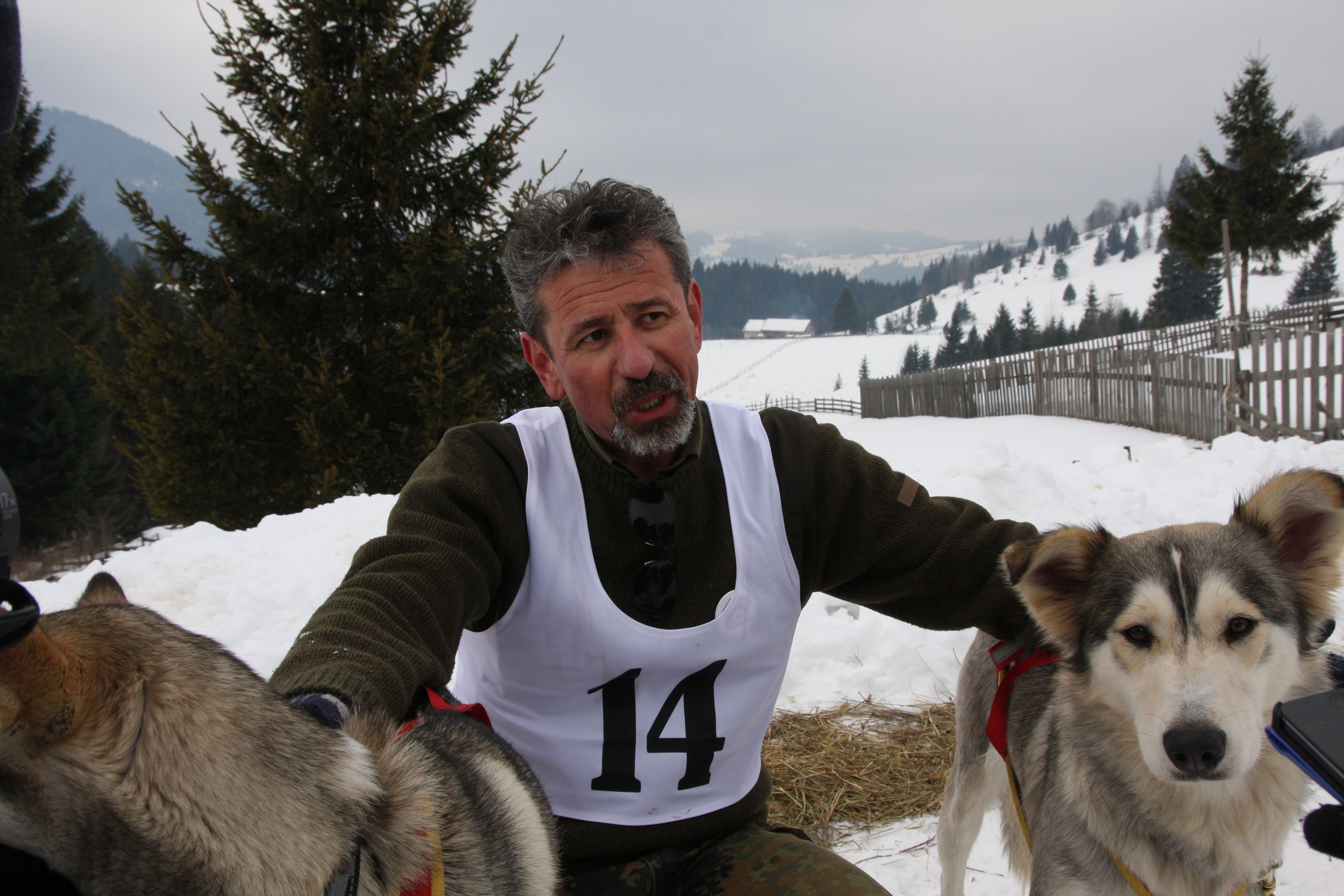 Concurs inedit de câini nordici în Pasul Tihuța GALERIE FOTO