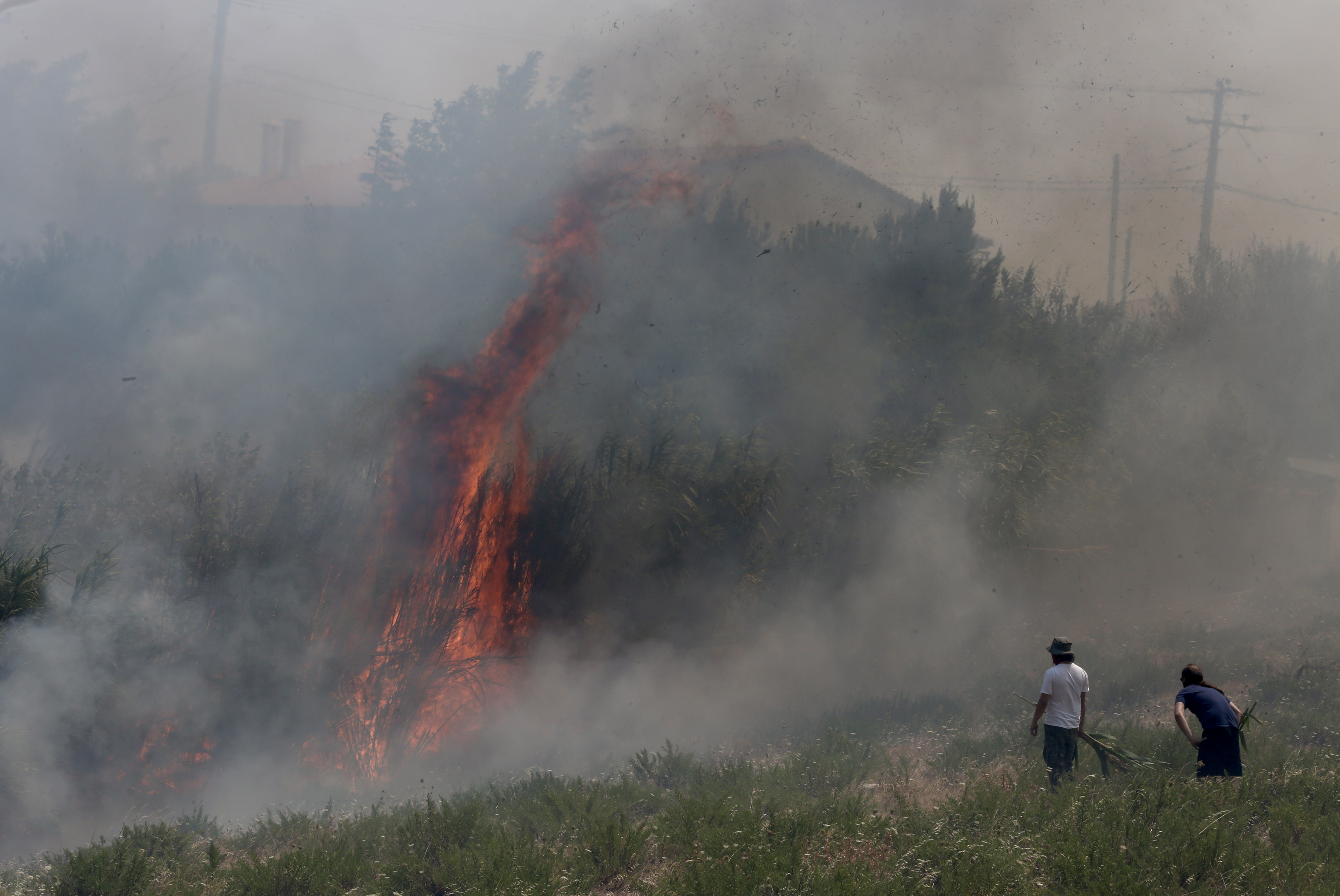 FOTO | Incendii în apropiere de Atena. Mai multe case au fost mistuite de flăcări