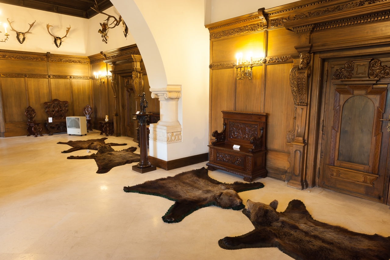 Palatul Cotroceni, strada Geniului. Istoria completă a locului de unde se conduce România